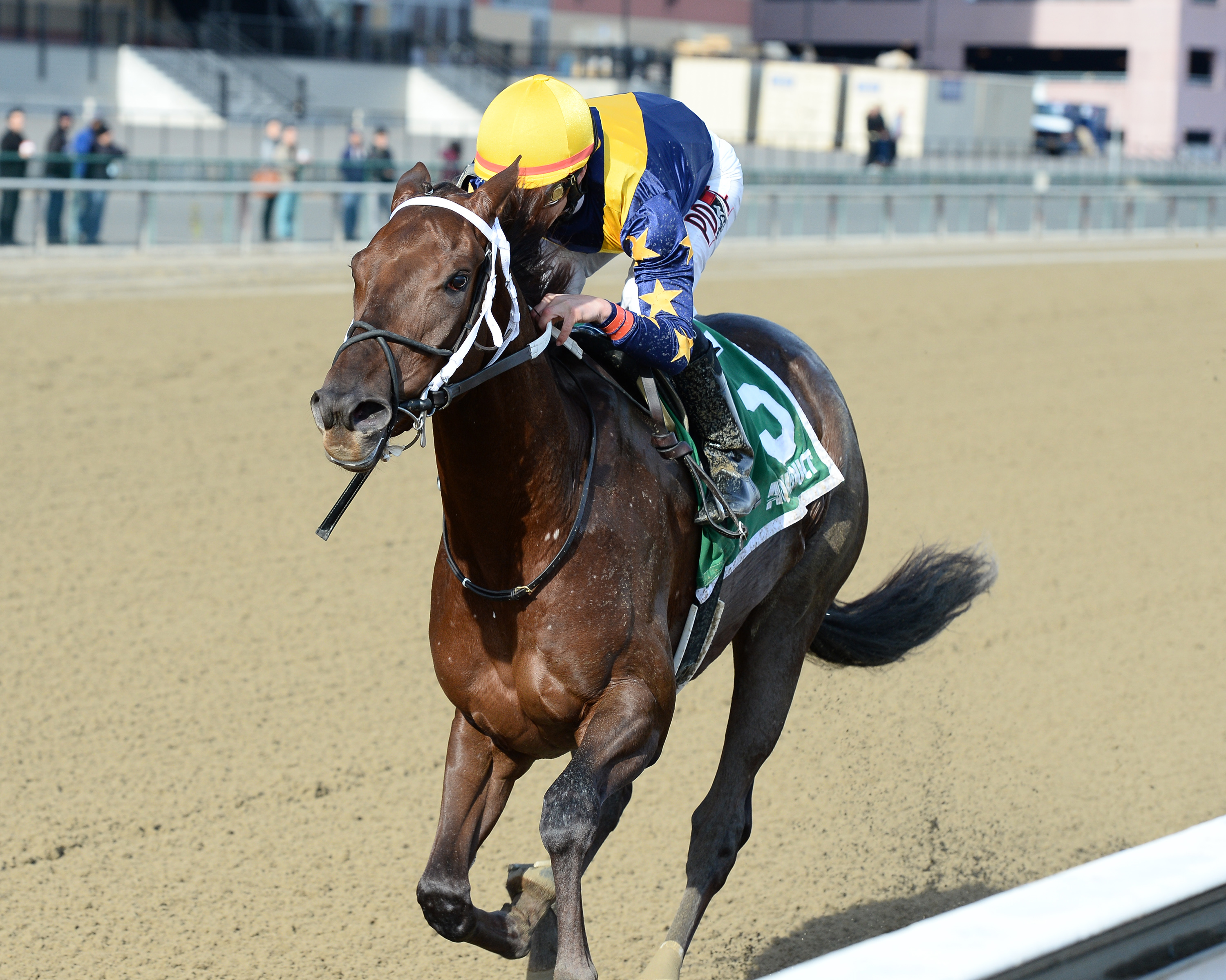 Constellaton wins the Furlough Stakes