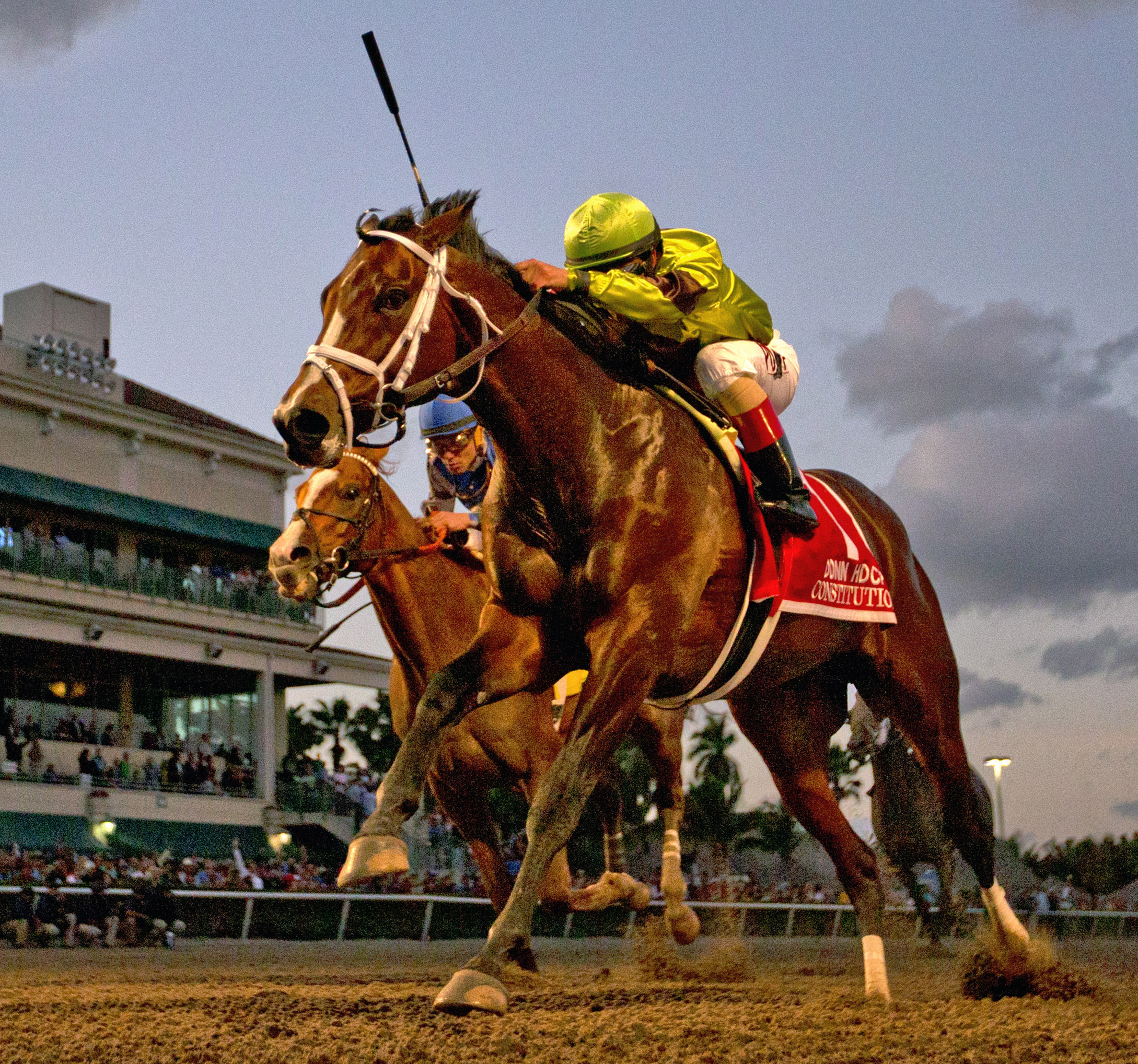 Constitution wins 2015 Donn