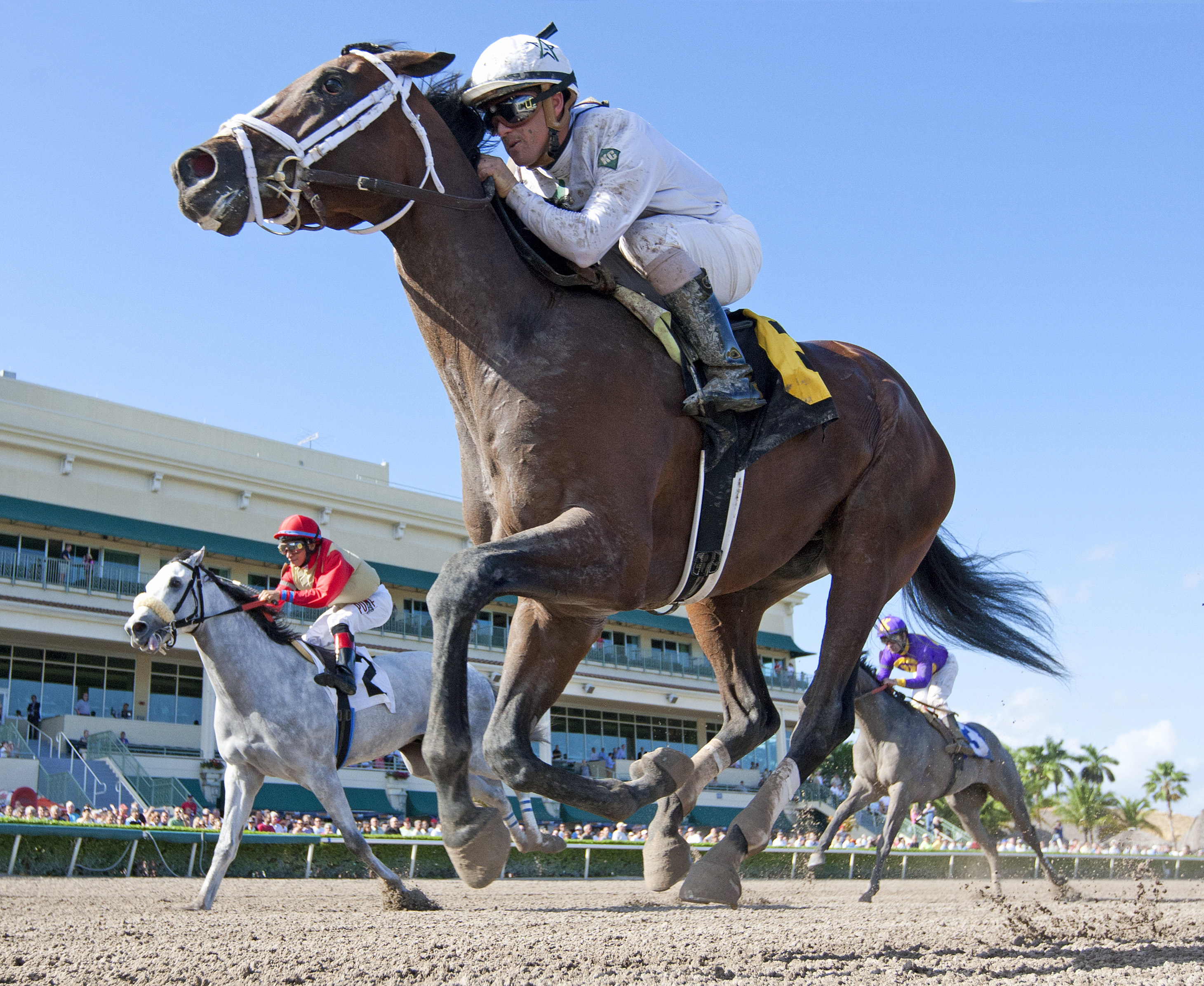 Constitution wins a maiden race