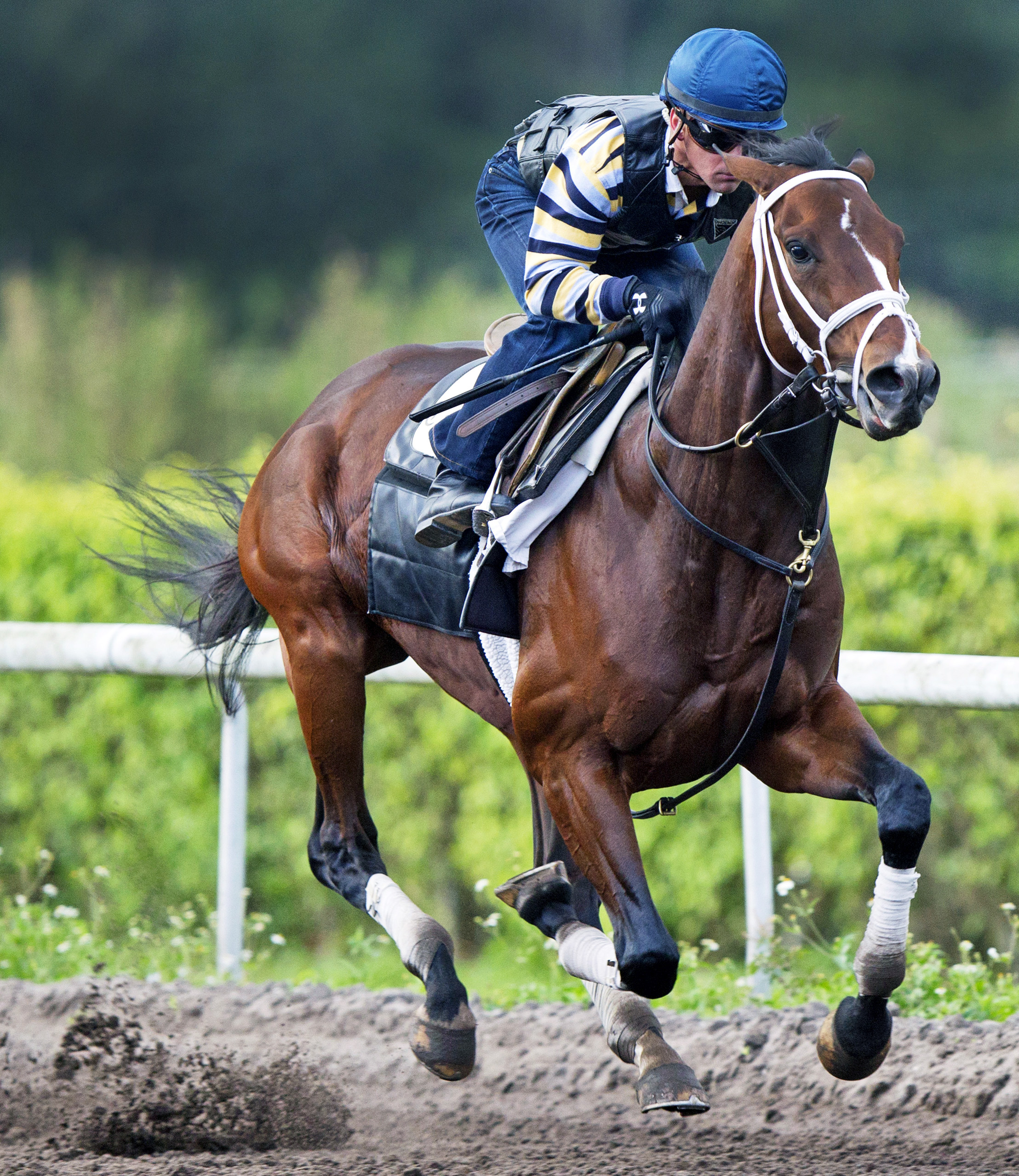 Constitution trains at Palm Meadows on Feb. 1