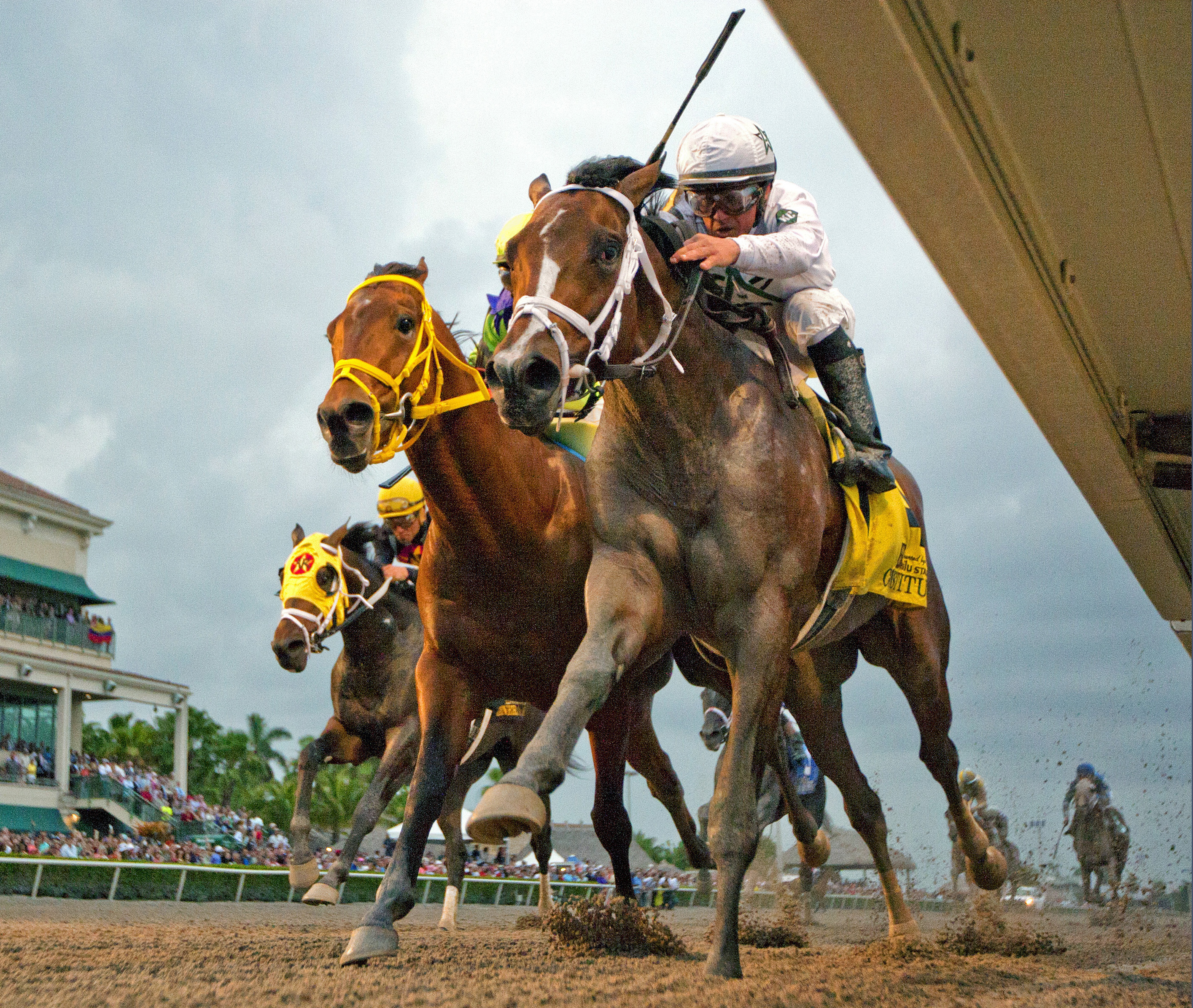 Constitution wins the Florida Derby