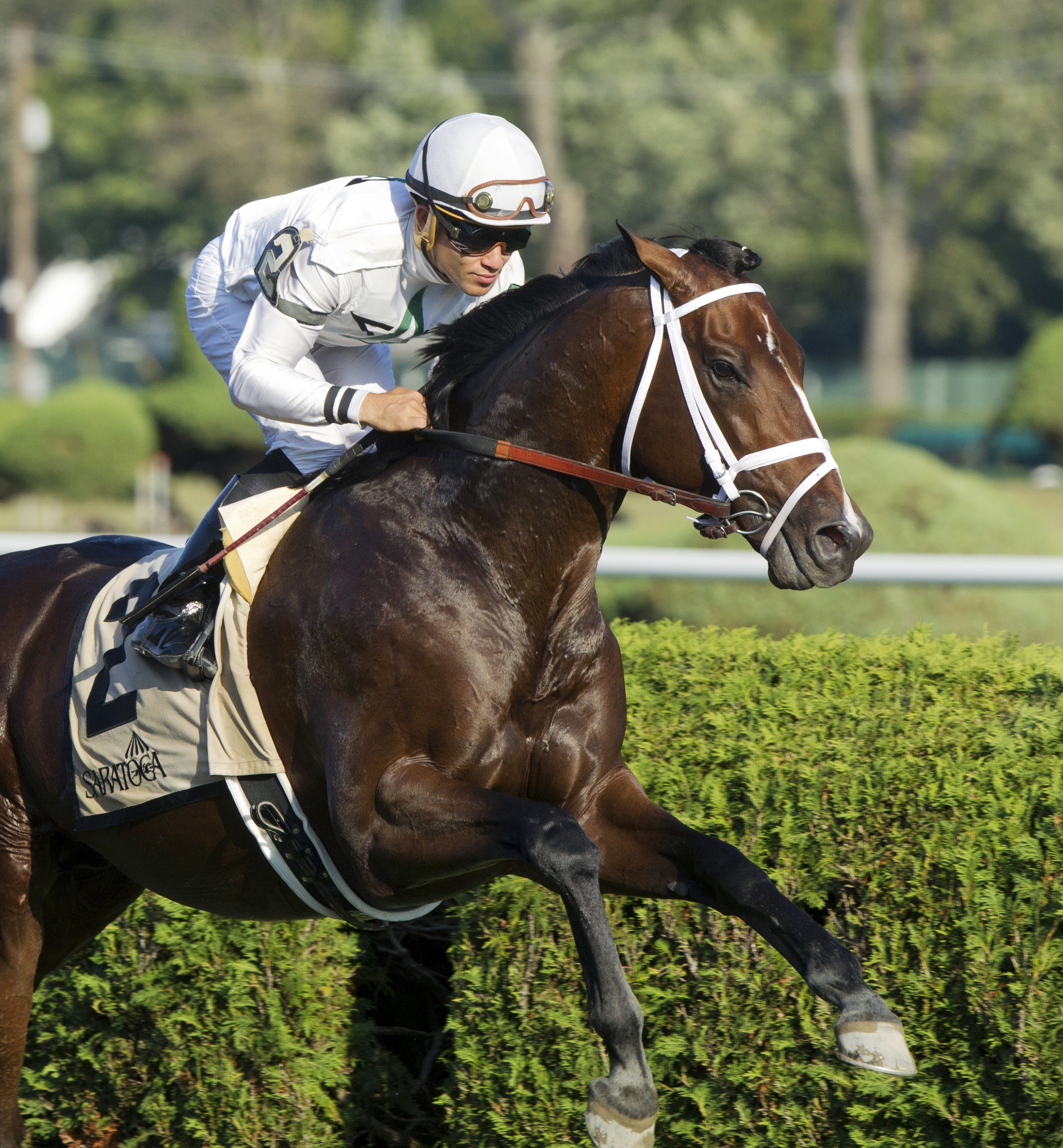 Constitution finishes fifth in the Bernard Baruch