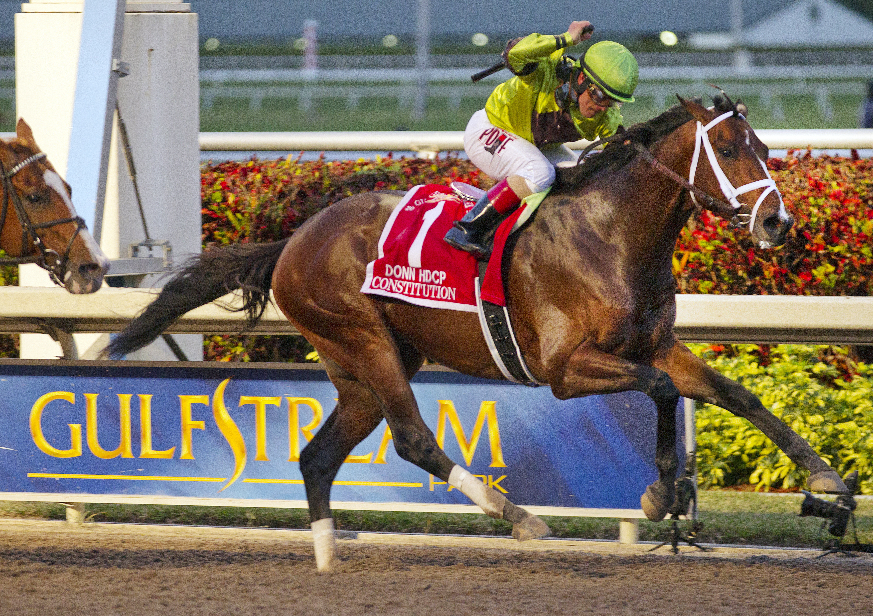 Consitution wins the Donn