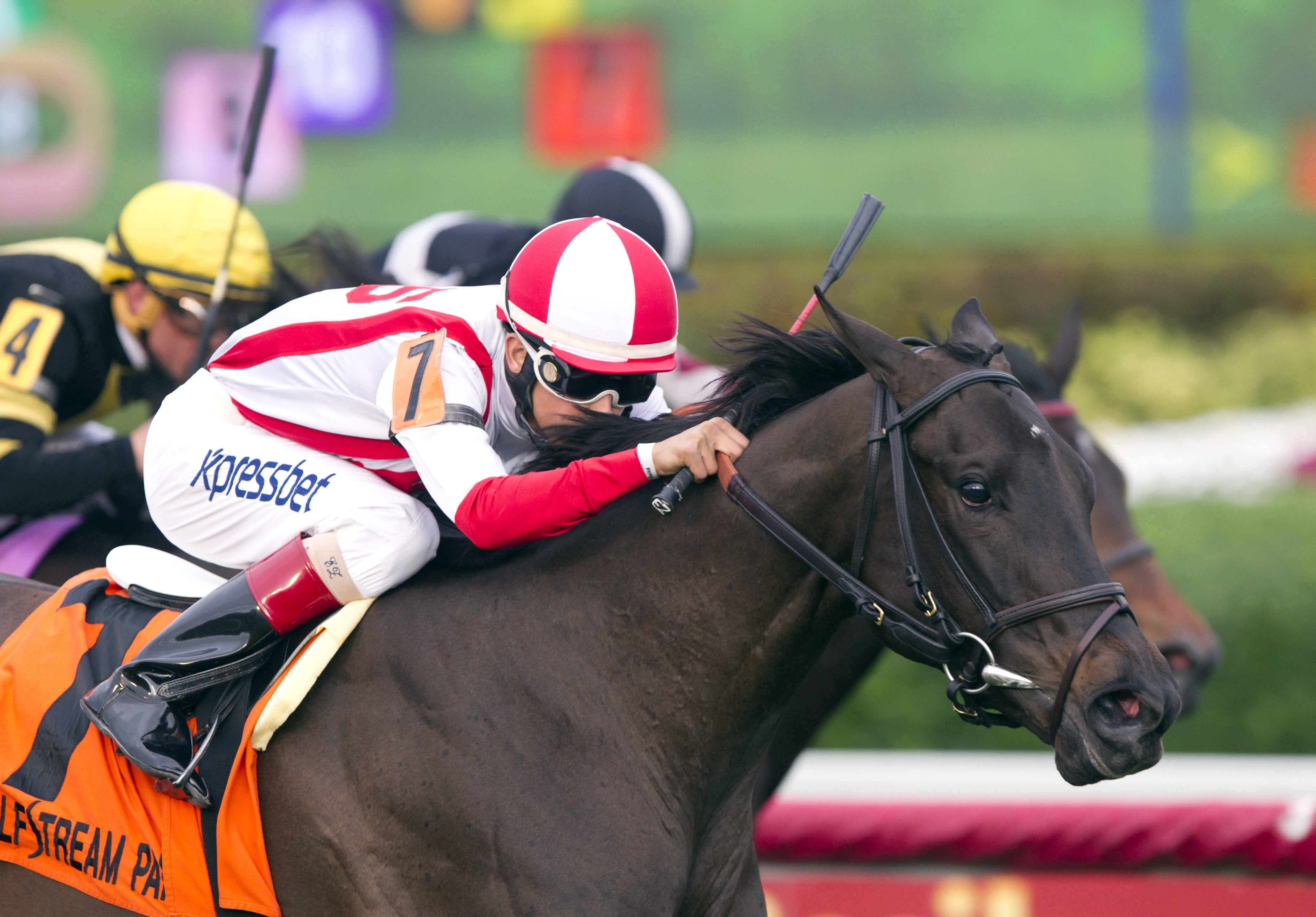 Consumer Credit wins the Sweetest Chant