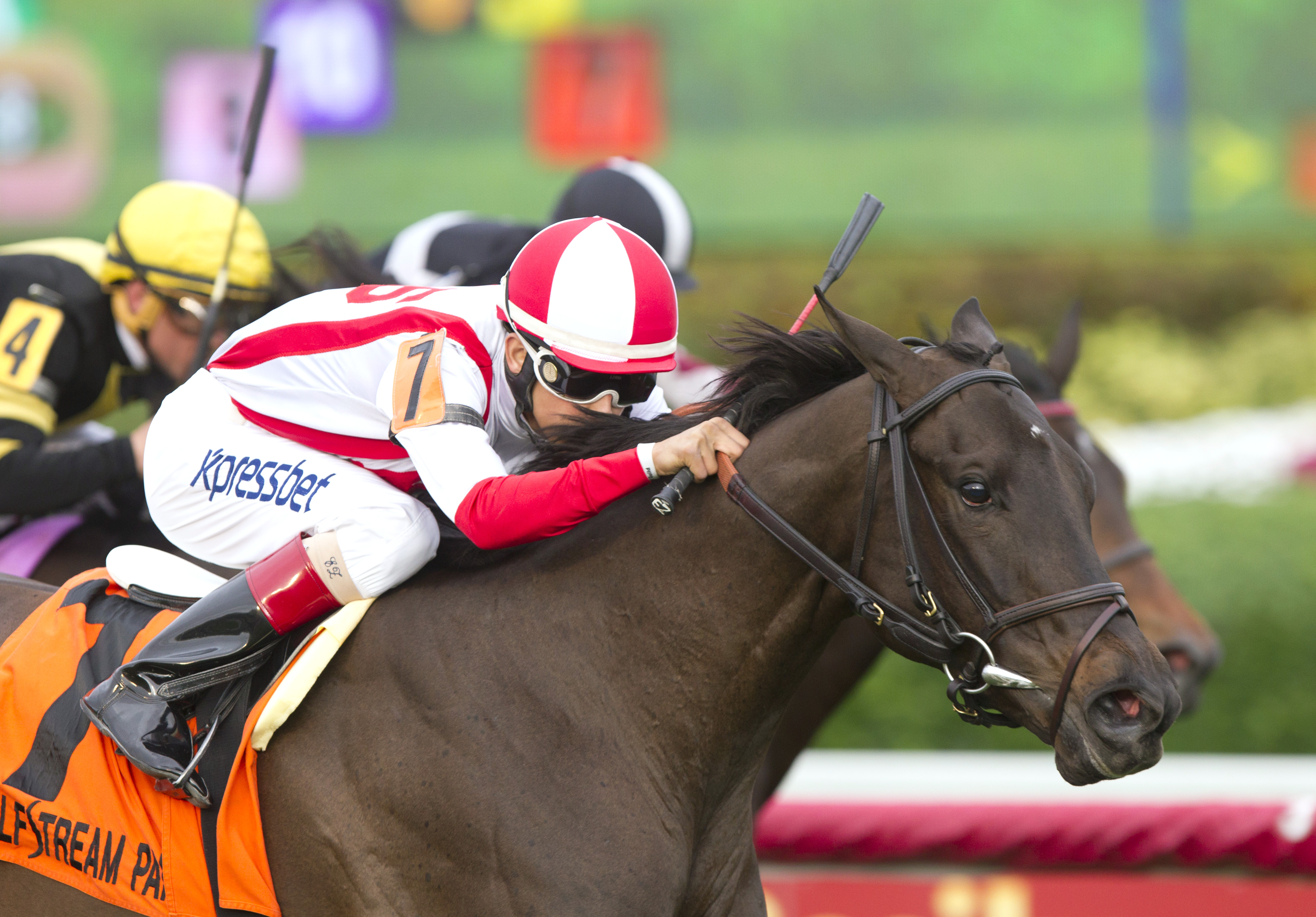 Consumer Credit wins the Sweetest Chant