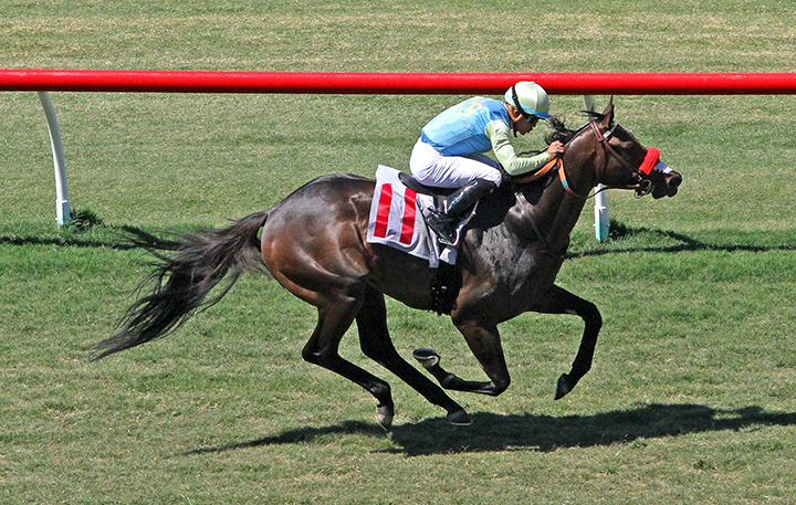 Contagion wins a July 20 claiming race at Del Mar