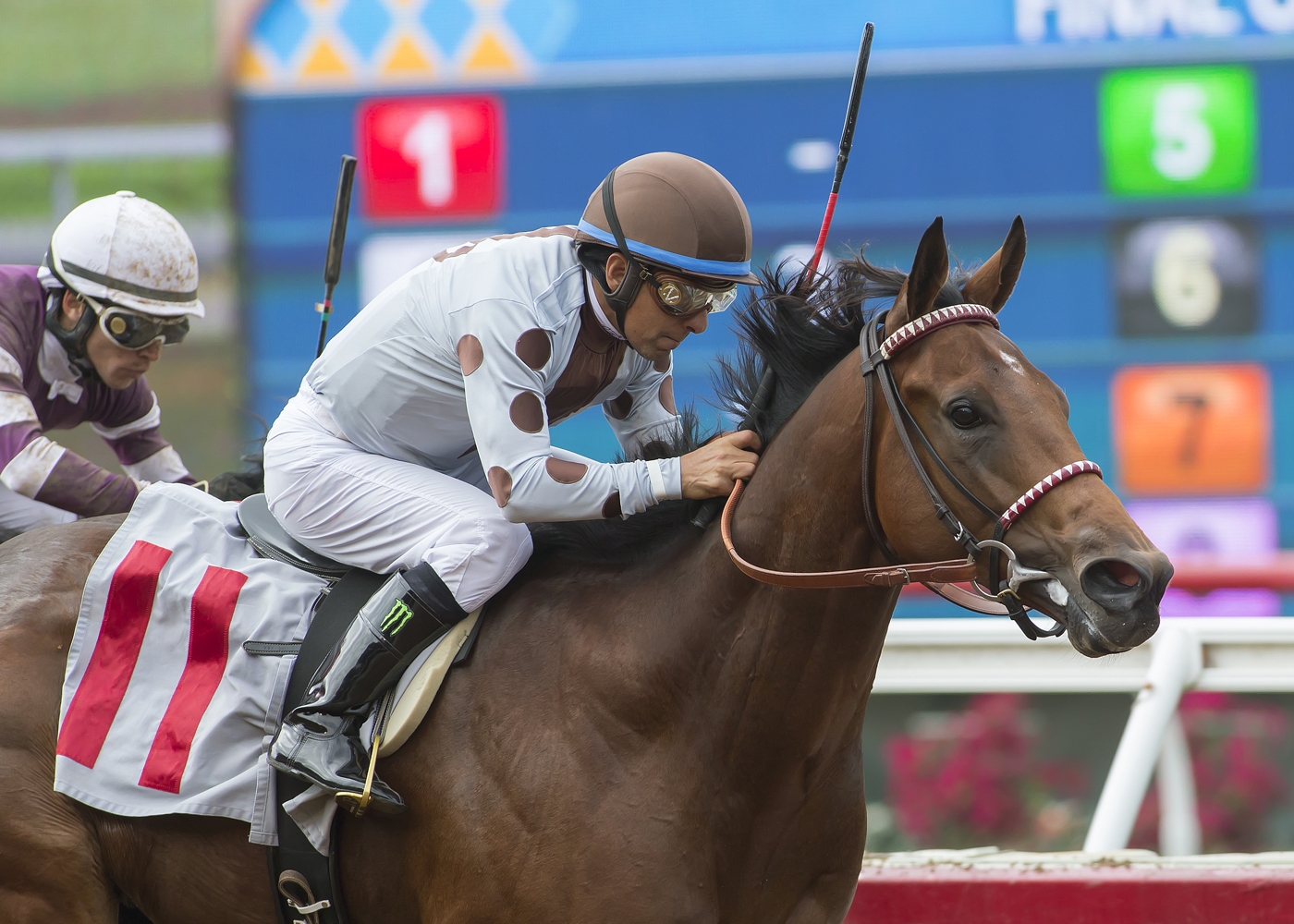 Continental Divide wins the 2017 Graduation Stakes