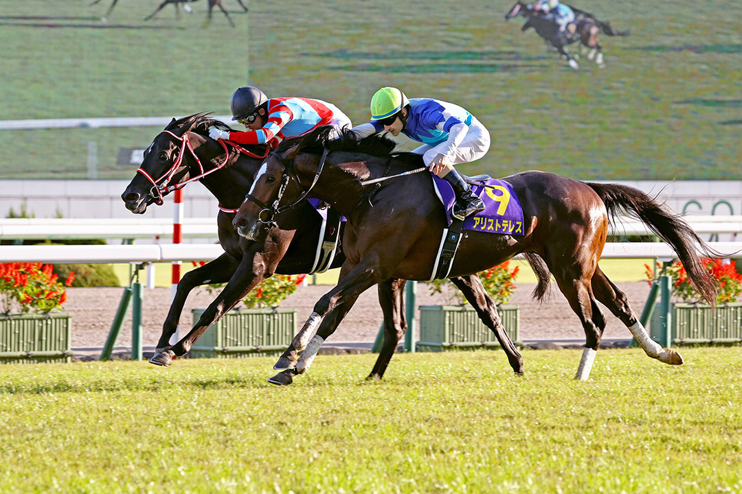 Contrail (inside) wins the 2020 Kikuka Sho at Kyoto Racecourse