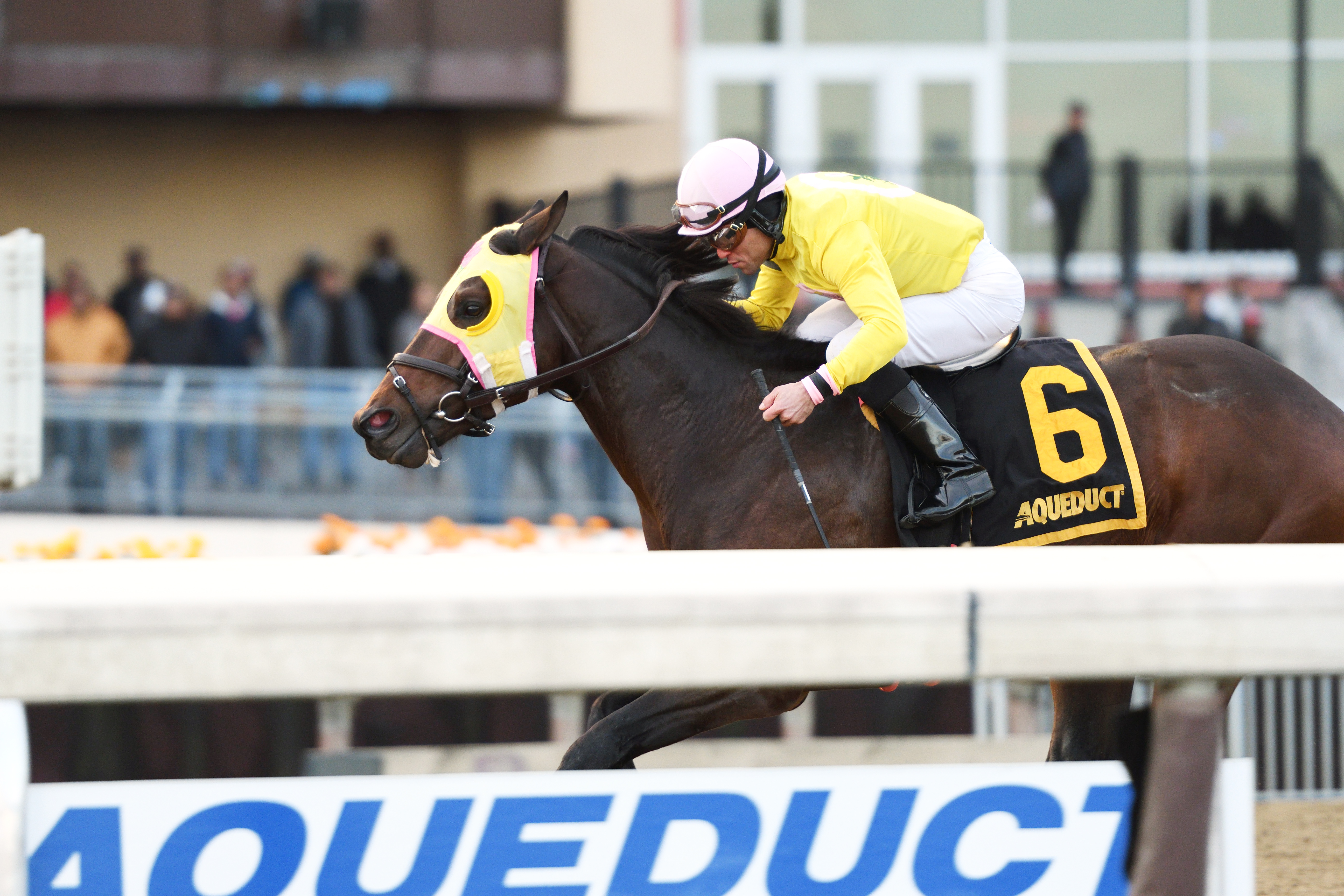 Control Group wins the 2017 Discovery Handicap