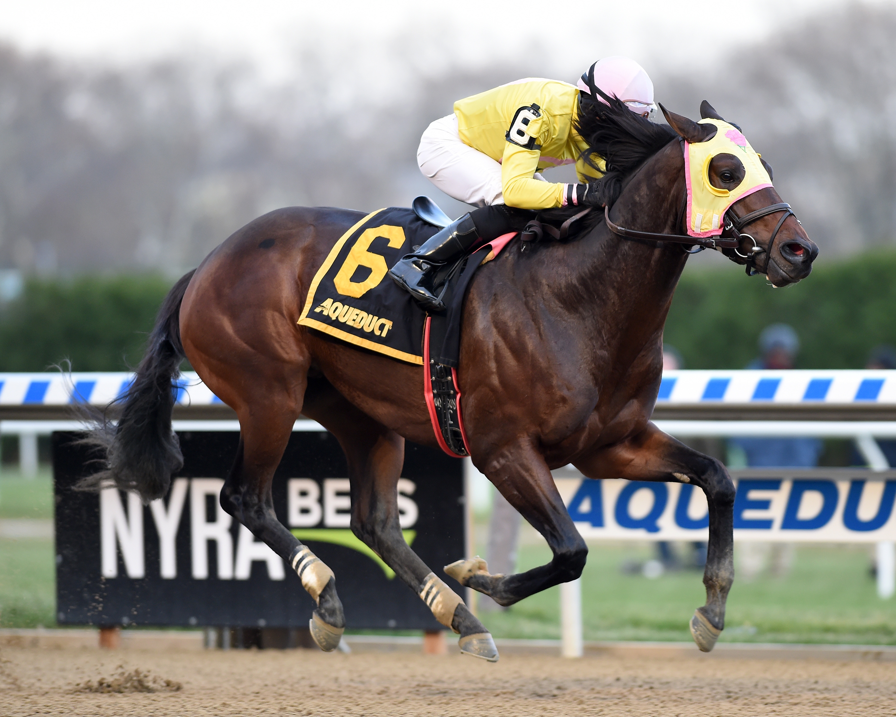 Control Group wins the 2017 Discovery Stakes