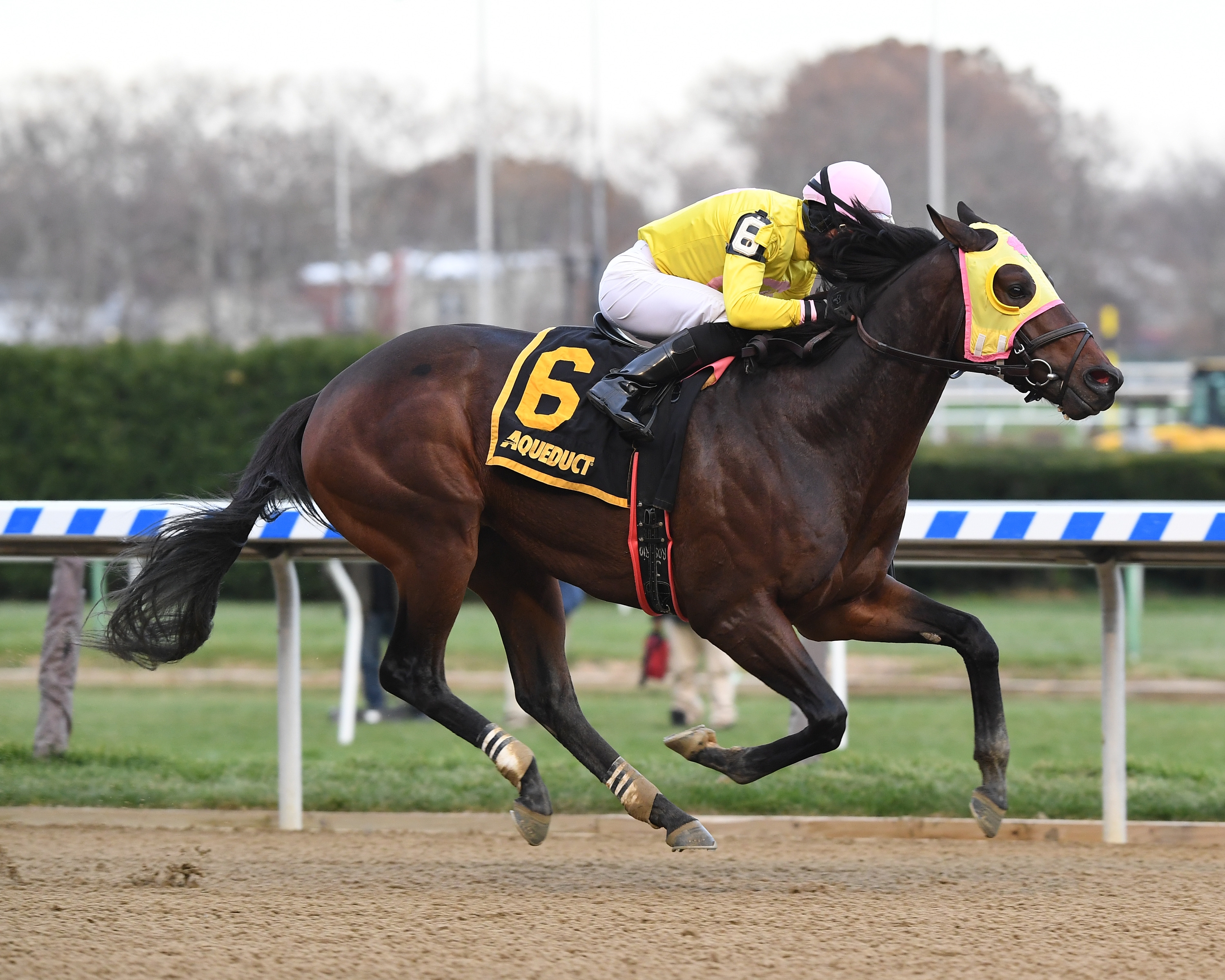 Control Group wins the 2017 Discovery Stakes