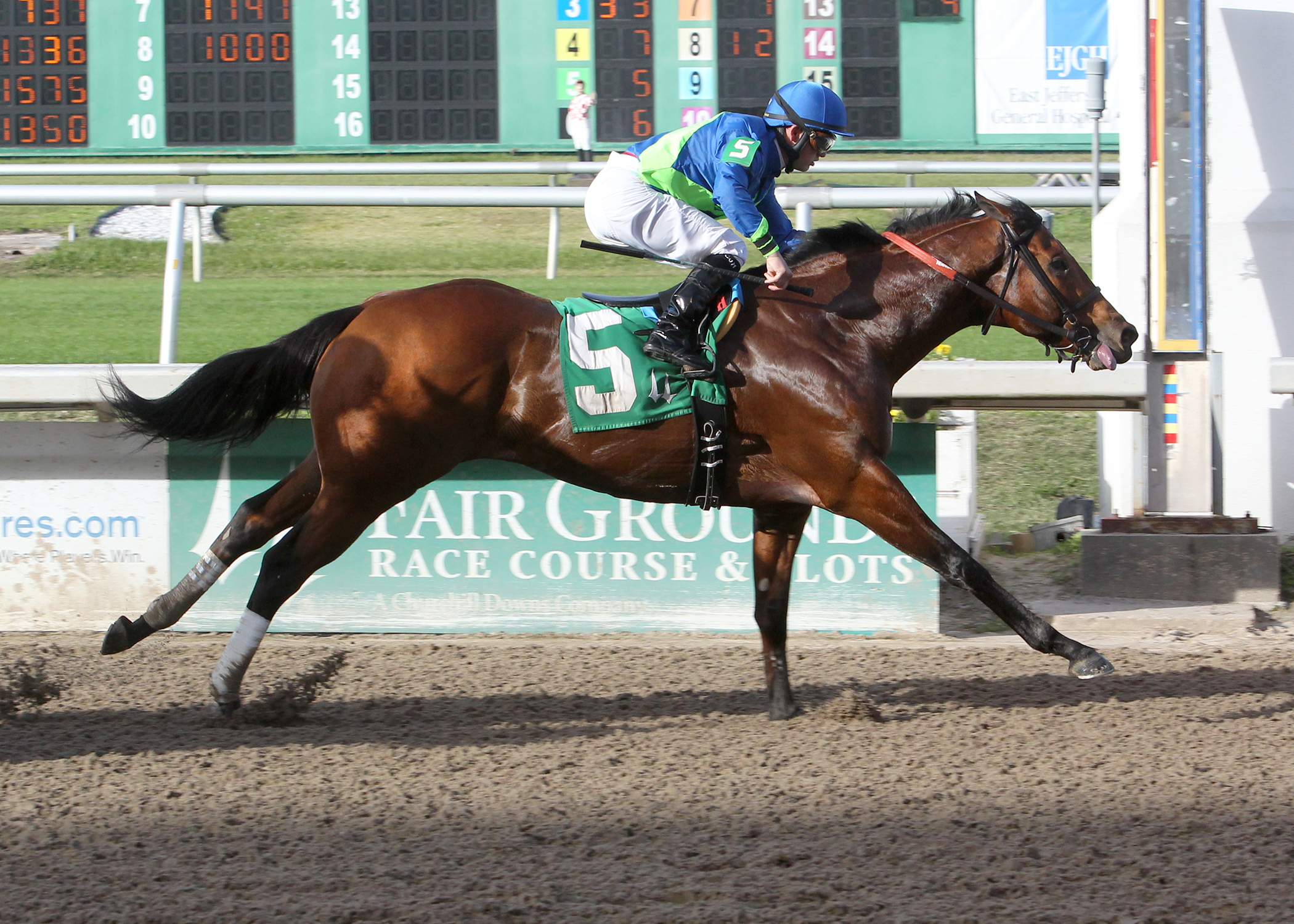Control Stake wins the Thanksgiving Handicap