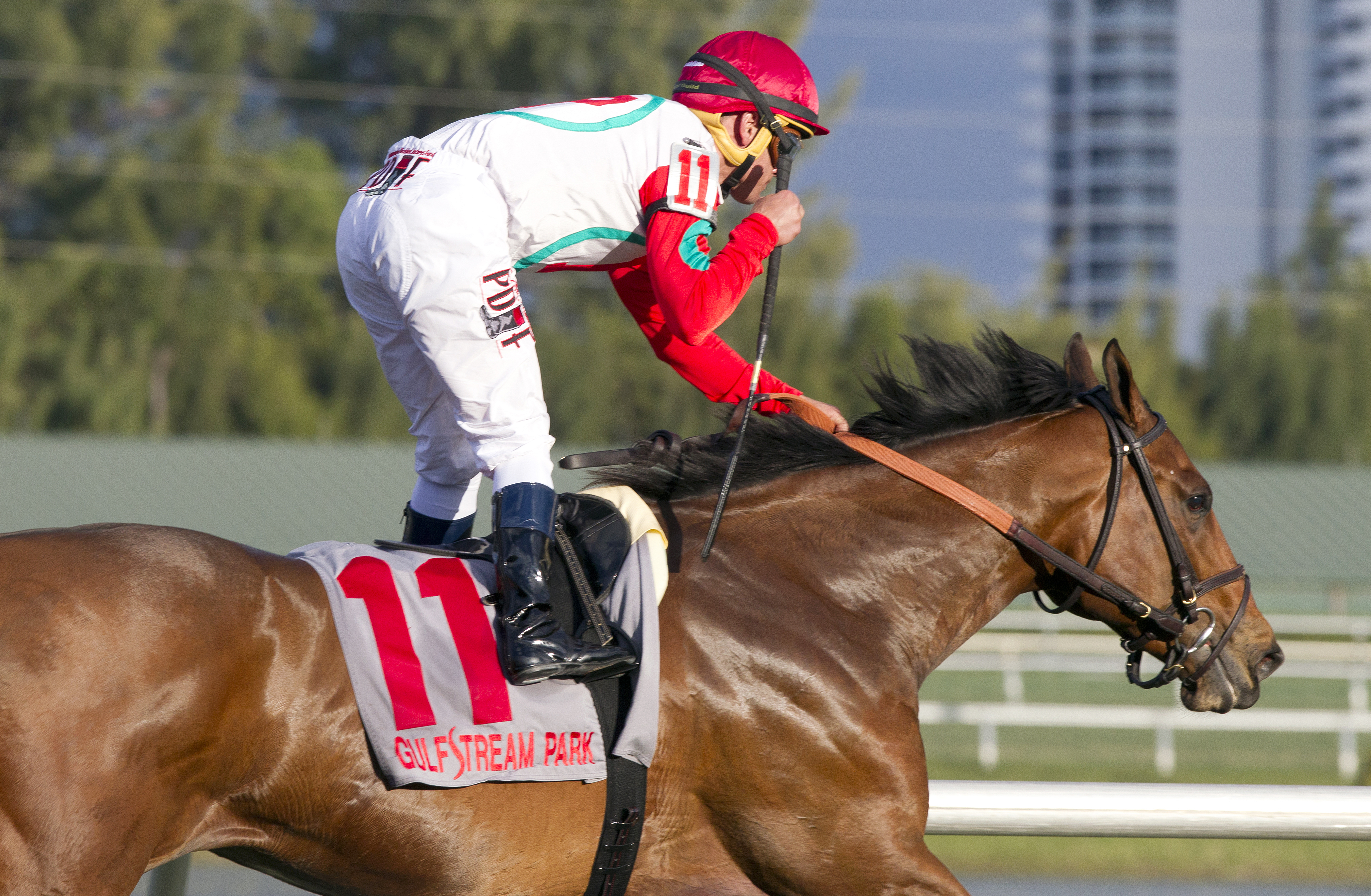 Converge wins the 2016 Palm Beach Stakes