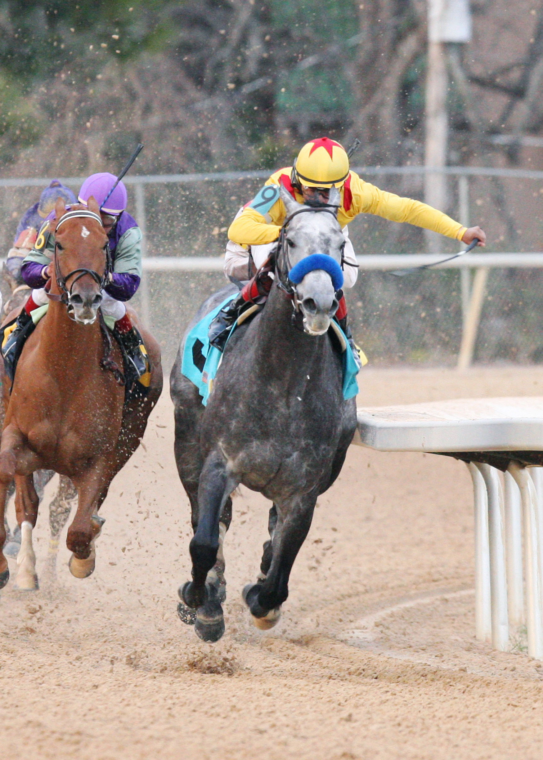 Conveyance wins the 2010 Southwest Stakes