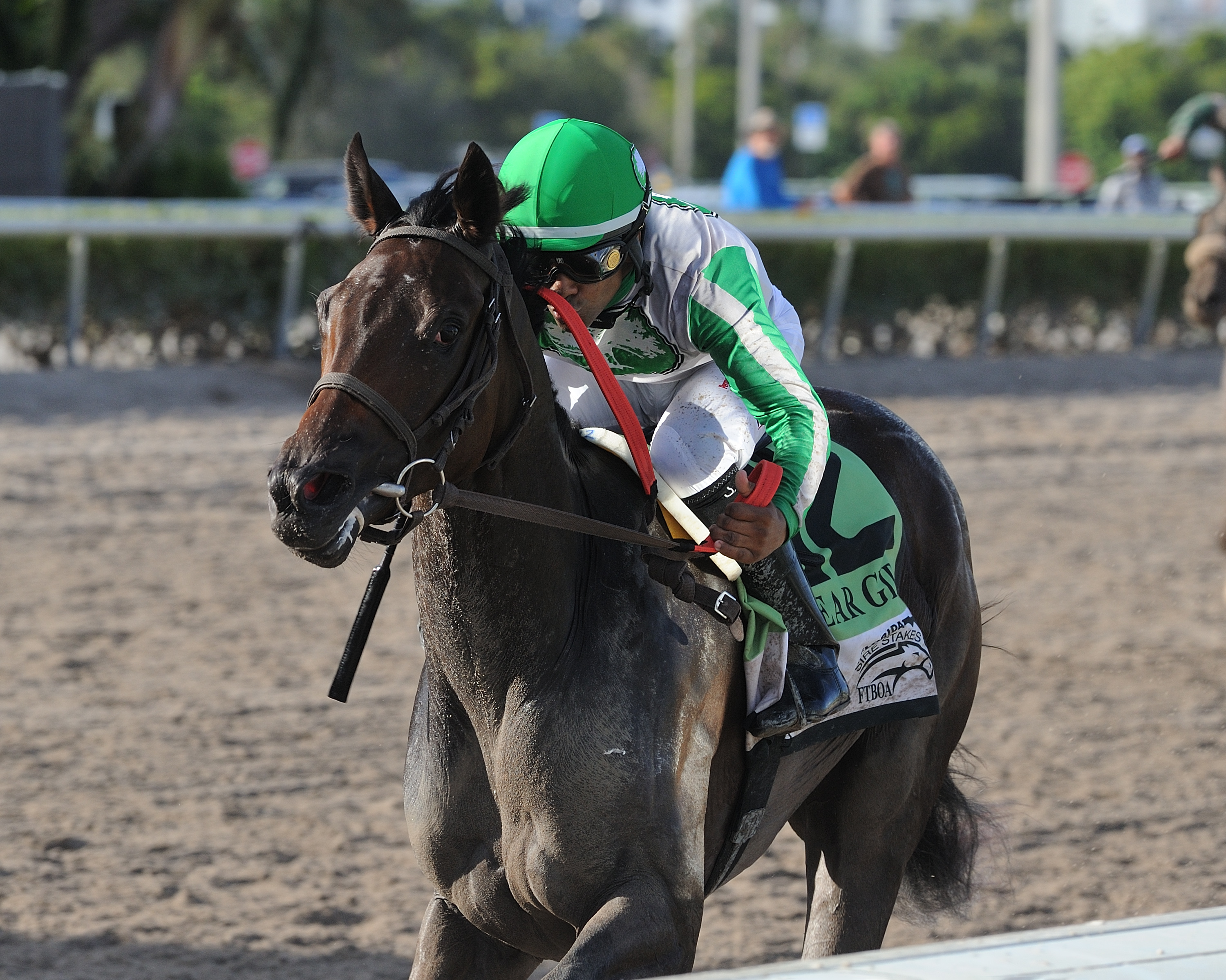 Cookie Dough wins the 2018 FSS My Dear Girl
