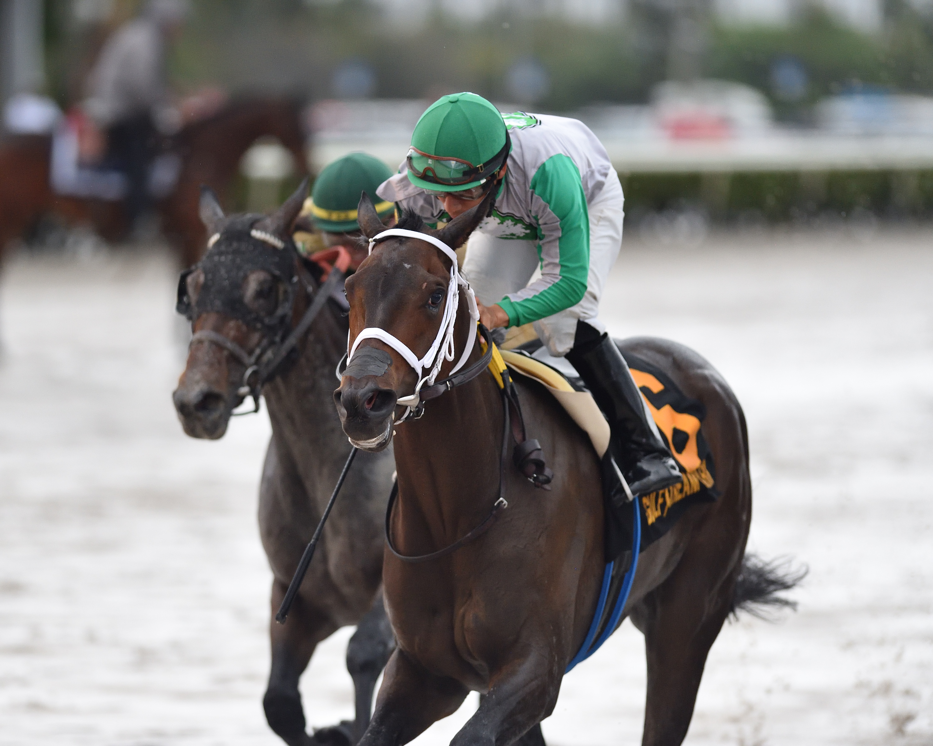 Cookie Dough wins the 2020 Royal Delta Stakes at Gulfstream Park