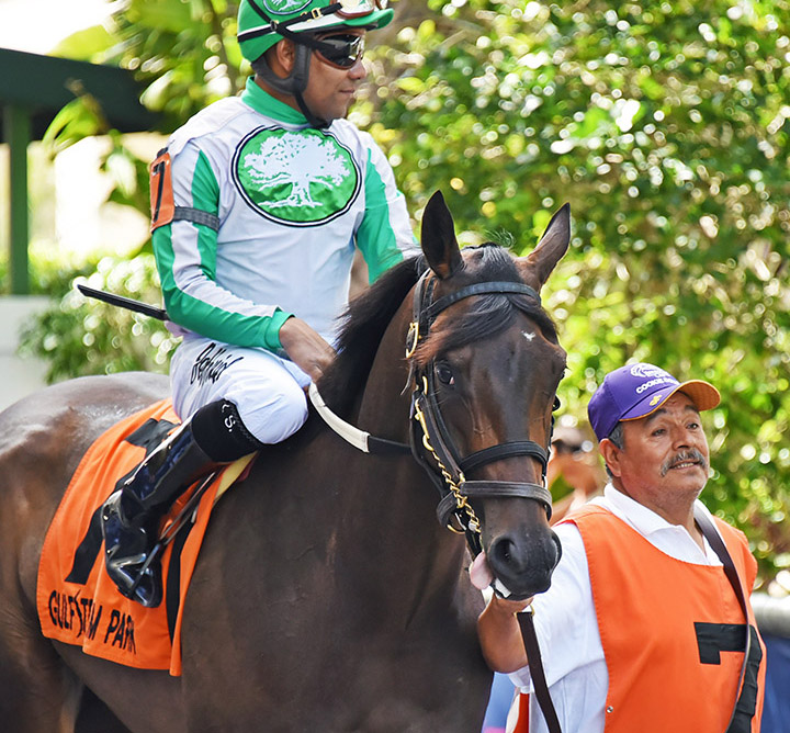 Cookie Dough at Gulfstream Park on March 30
