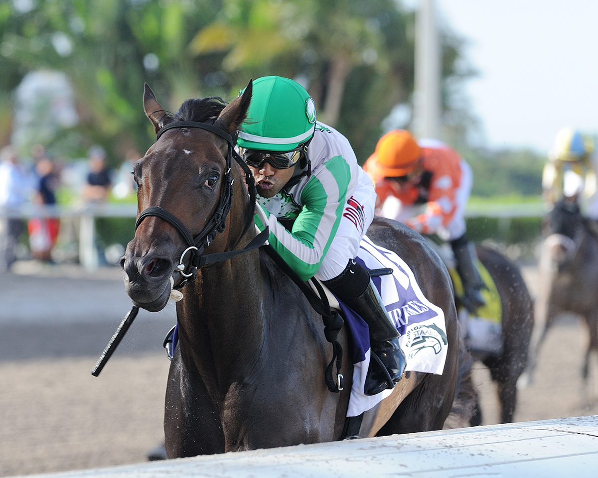 Cookie Dough wins the 2018 Susan-s Girl