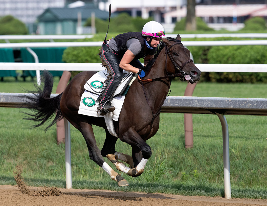 Cookie Dough trains at Saratoga Race Course on July 24