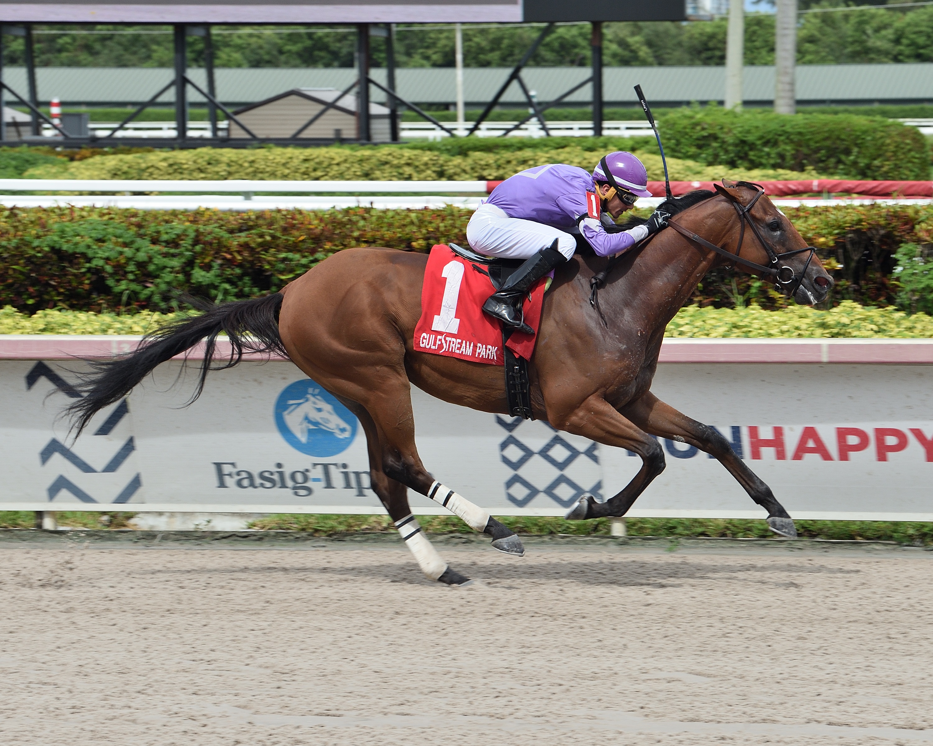 Cool Arrow wins Opening Lead 8-2-2020
