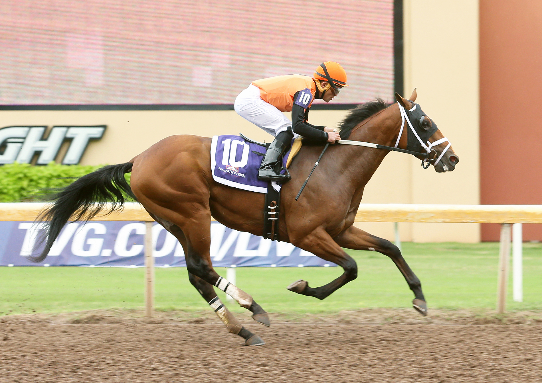 Cool Arrow wins the Kip Deville Stakes