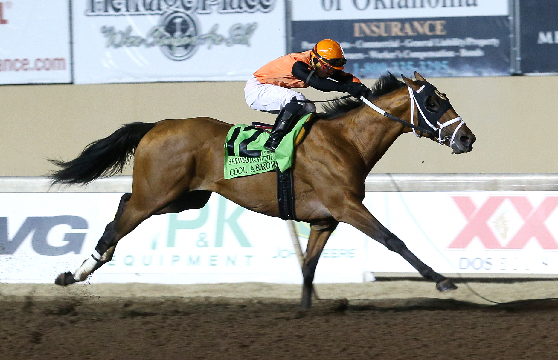 Cool Arrow wins the Springboard Mile