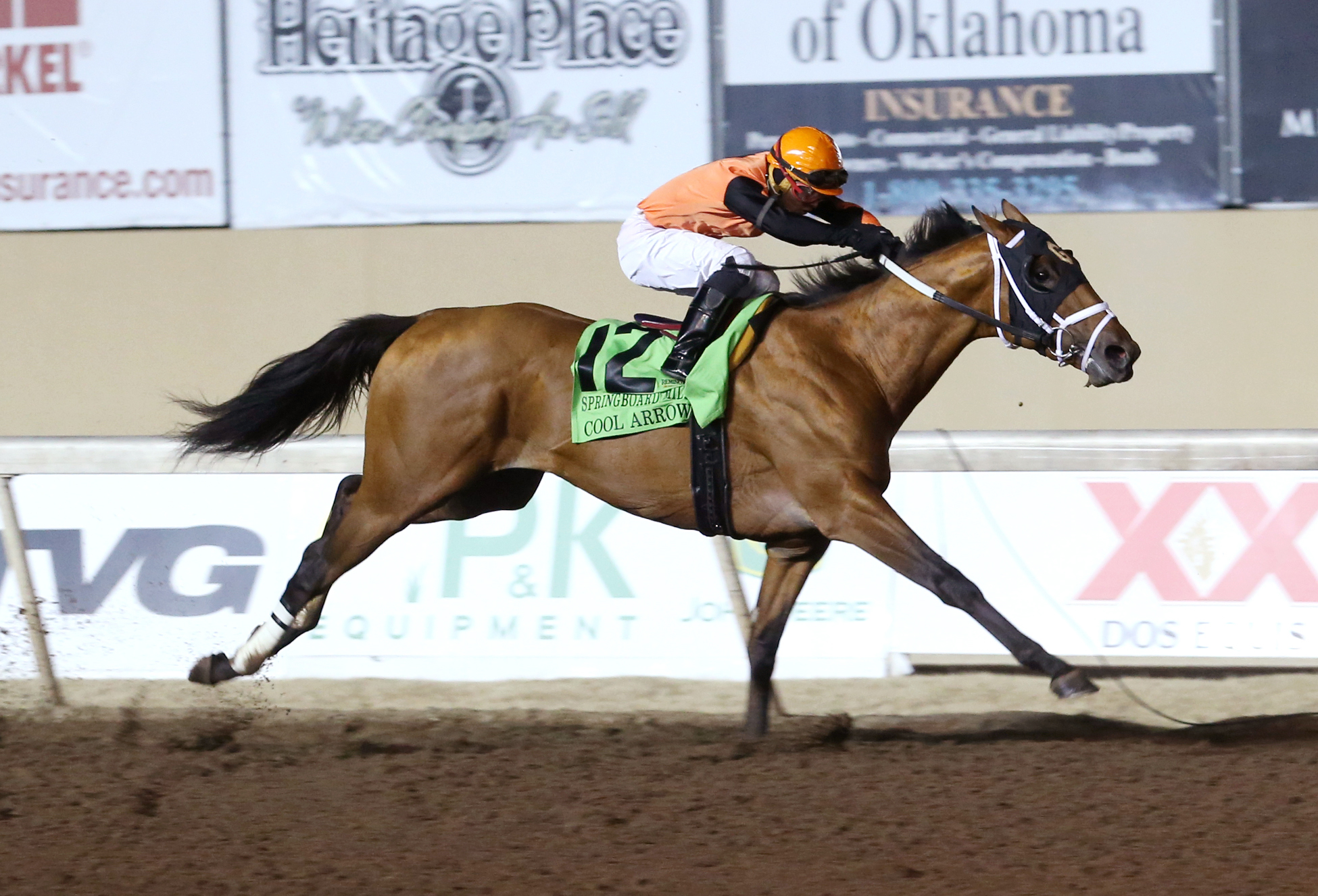 Cool Arrow wins the Springboard Mile