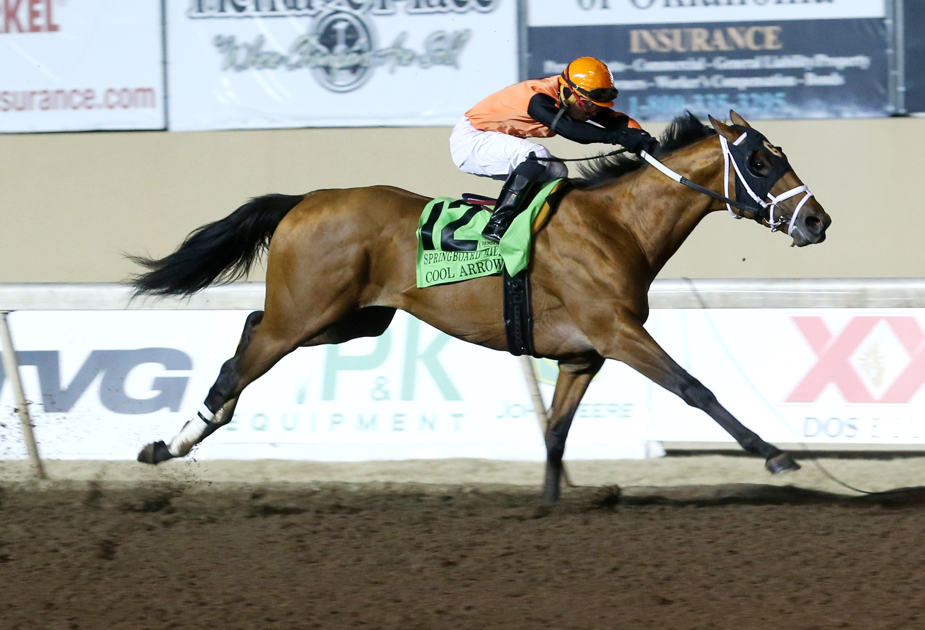 Cool Arrow wins the Springboard Mile