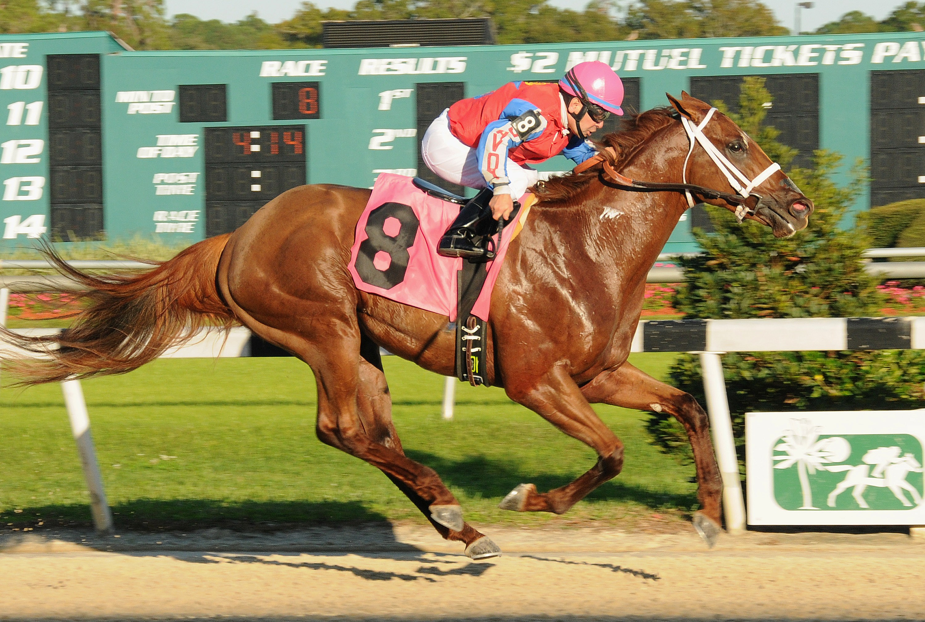 Cool Cowboy, Inaugural Stakes, Tampa Bay Downs