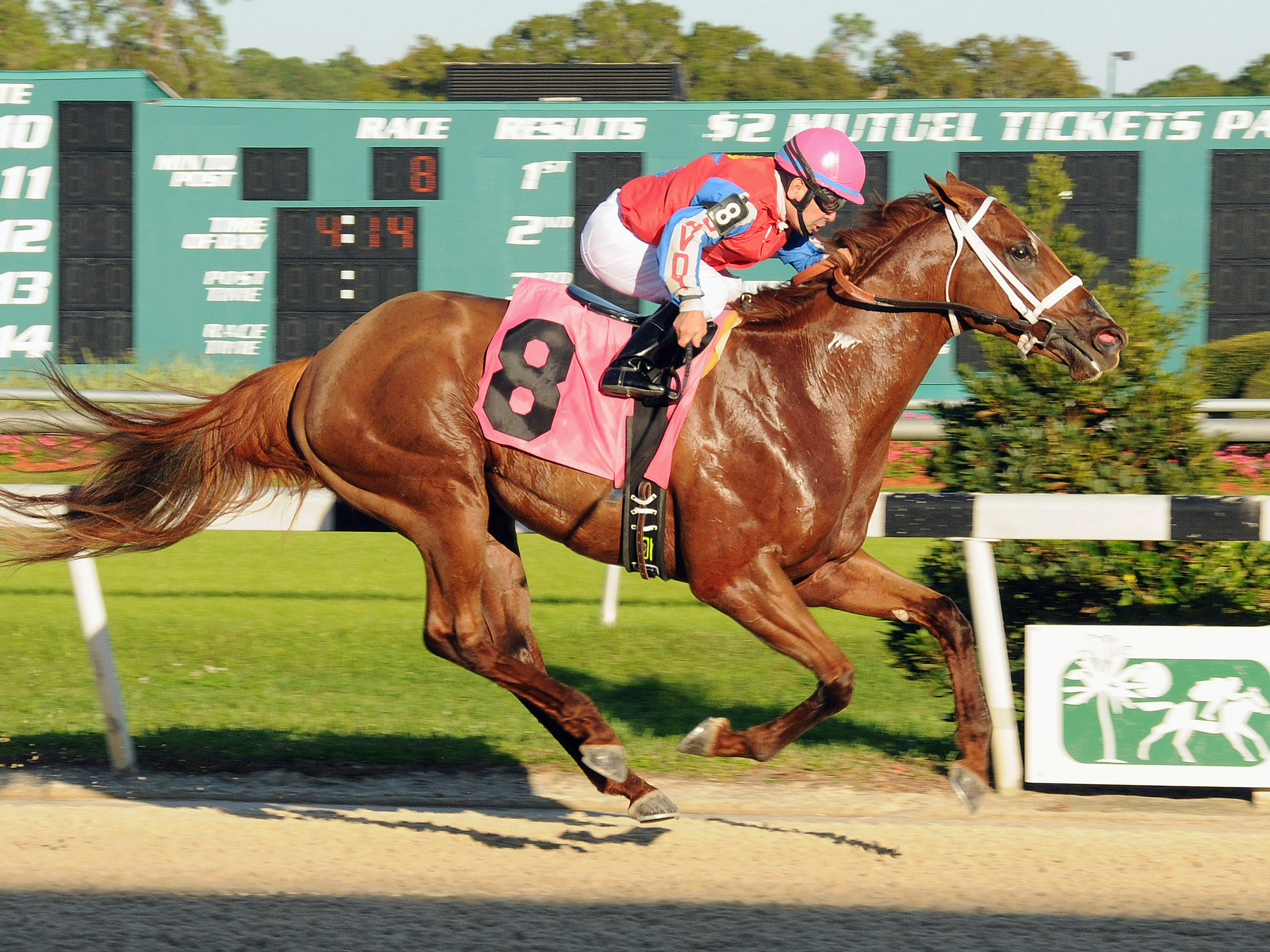 Cool Cowboy wins the Inaugural Stakes