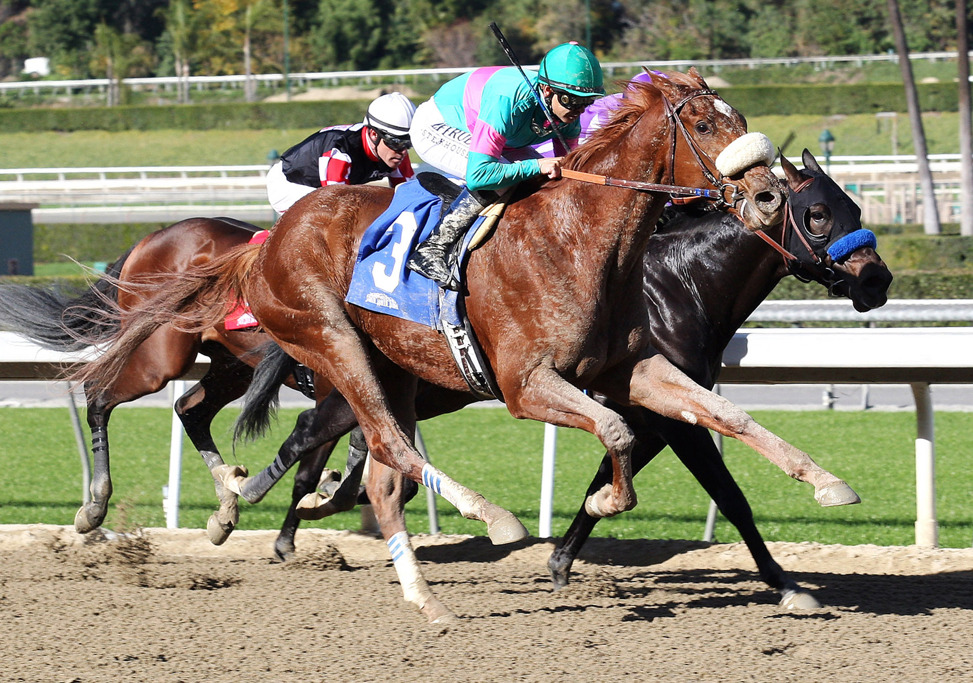 Cool Samurai wins a maiden race at Santa Anita
