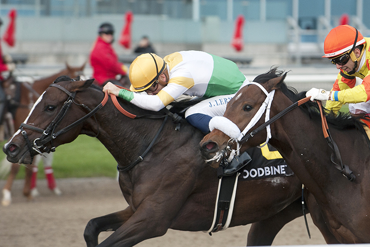 Cool Shadows wins the 2019 Princess Elizabeth Stakes at Woodbine Racetrack