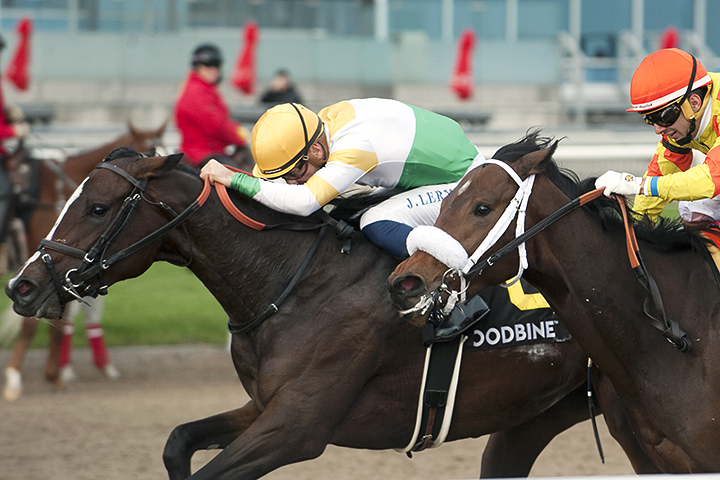 Cool Shadows wins the 2019 Princess Elizabeth Stakes at Woodbine Racetrack