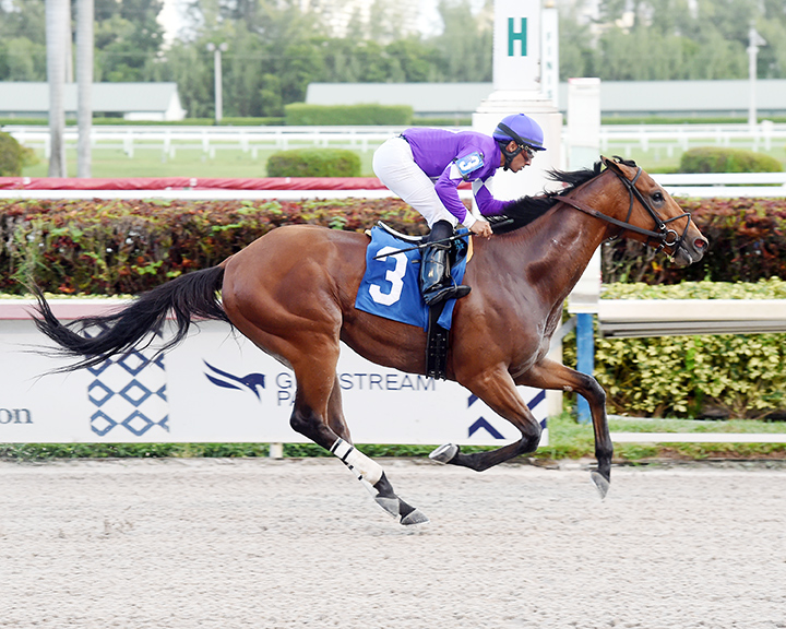 Cool Arrow wins a Dec. 27 allowance at Gulfstream Park