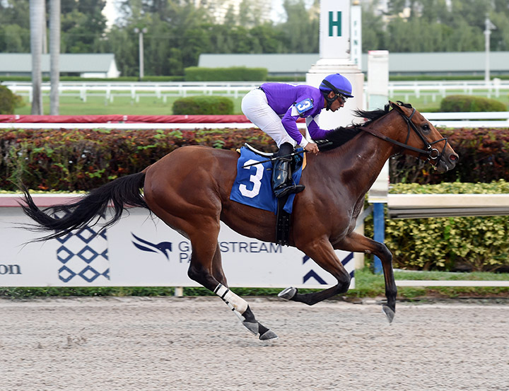 Cool Arrow wins a Dec. 27 optional claimer at Gulfstream Park
