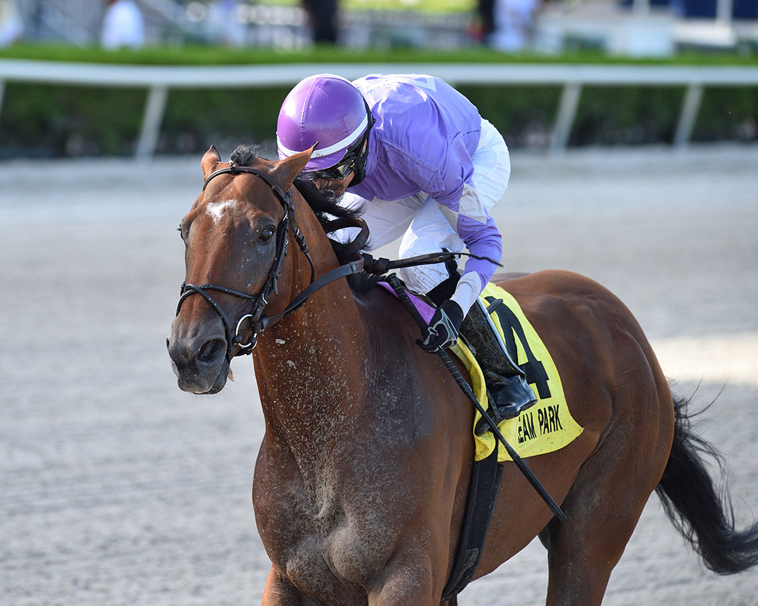 Cool Arrow wins the Smile Sprint Stakes at Gulfstream Park