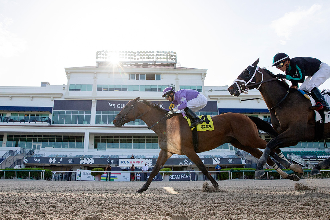 Cool Arrow wins the Smile Sprint Stakes at Gulfstream Park