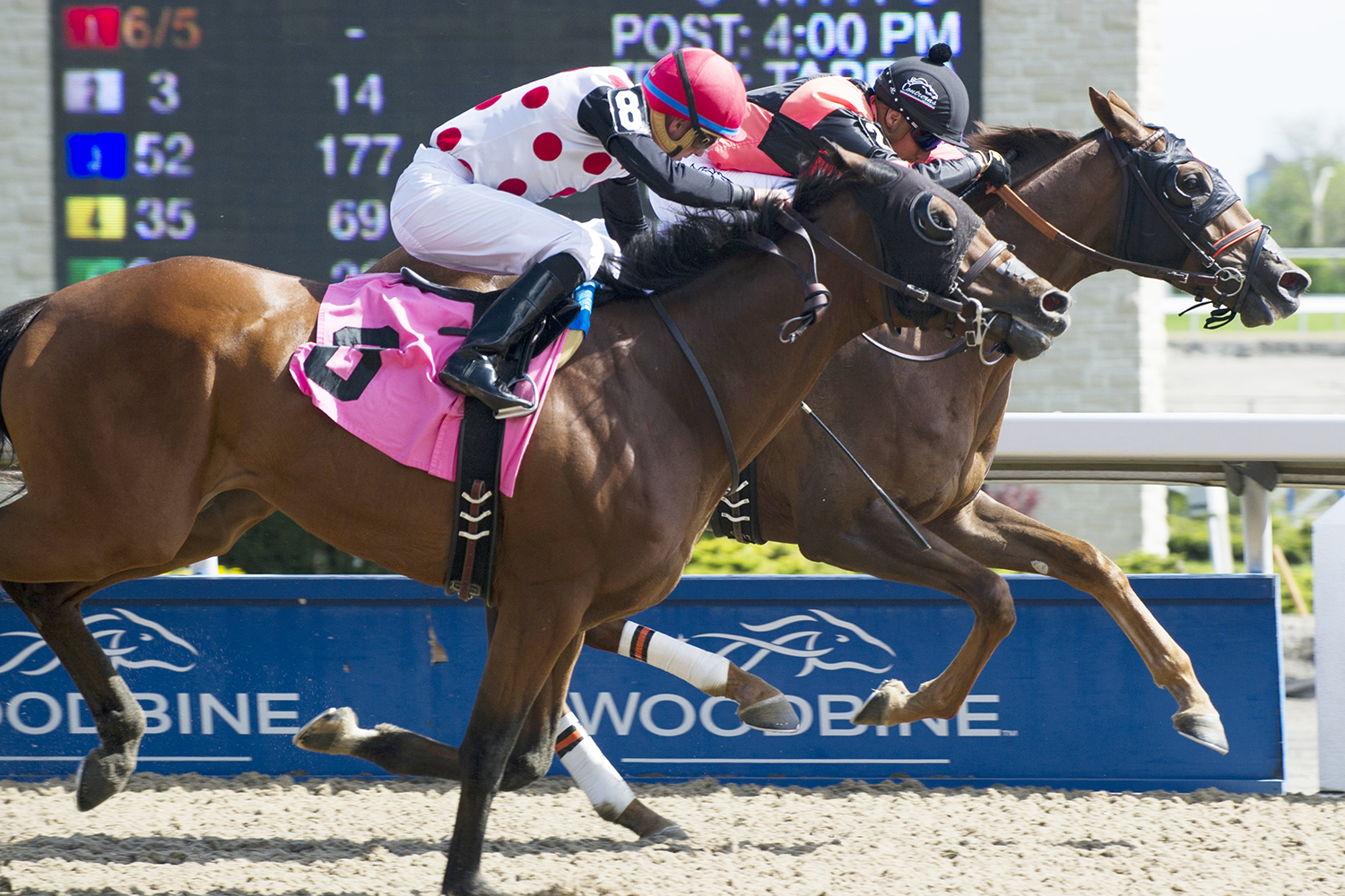Cooler Mike wins a May 20 allowance