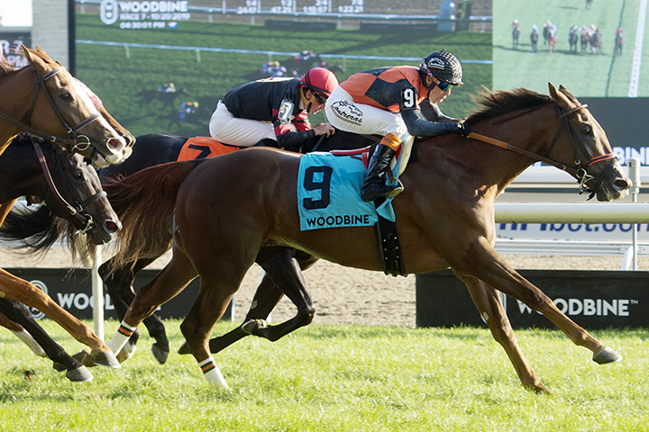 Cooler Mike wins the 2019 Bunty Lawless Stakes at Woodbine Racetrack