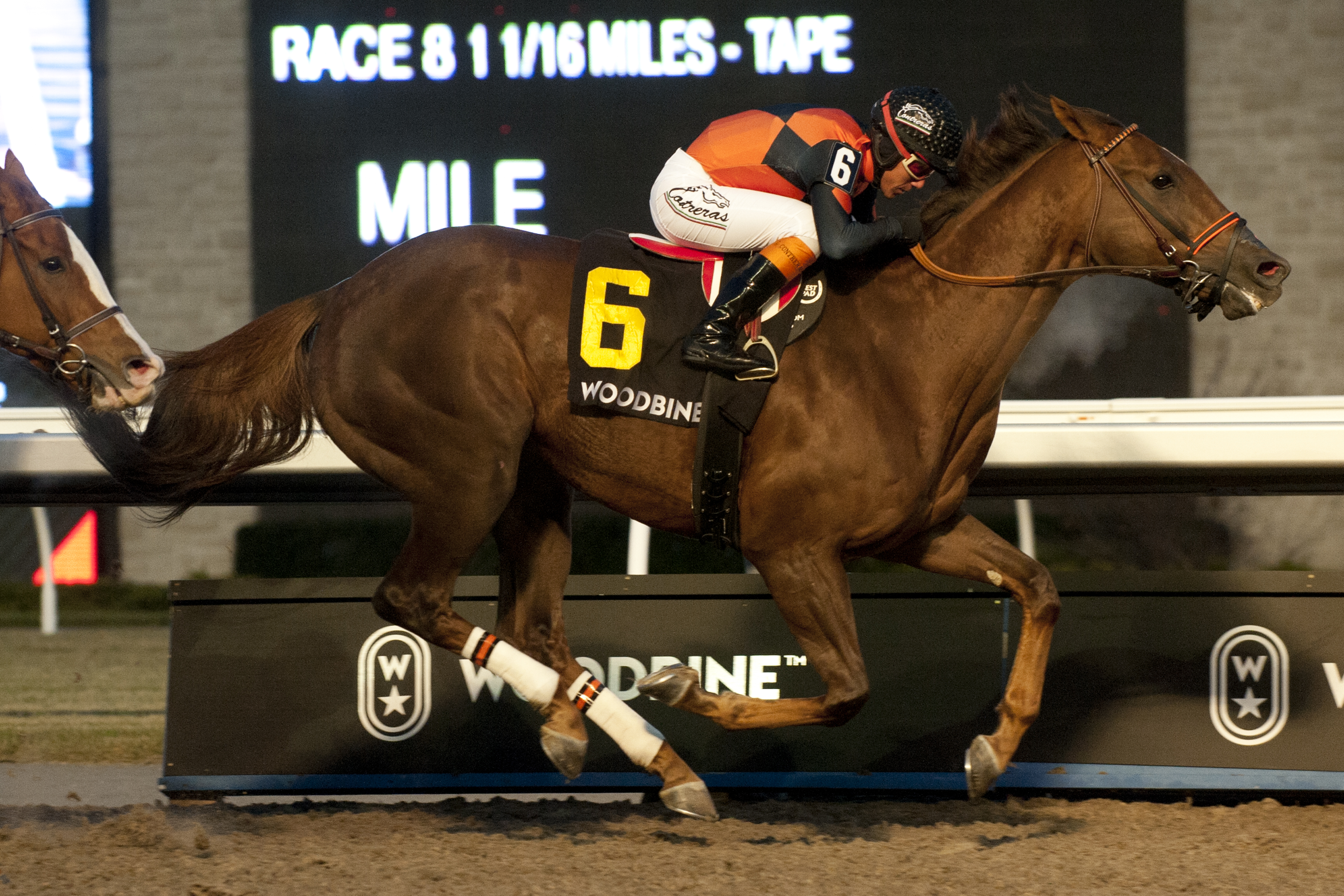 Cooler Mike wins the 2019 Sir Barton Stakes