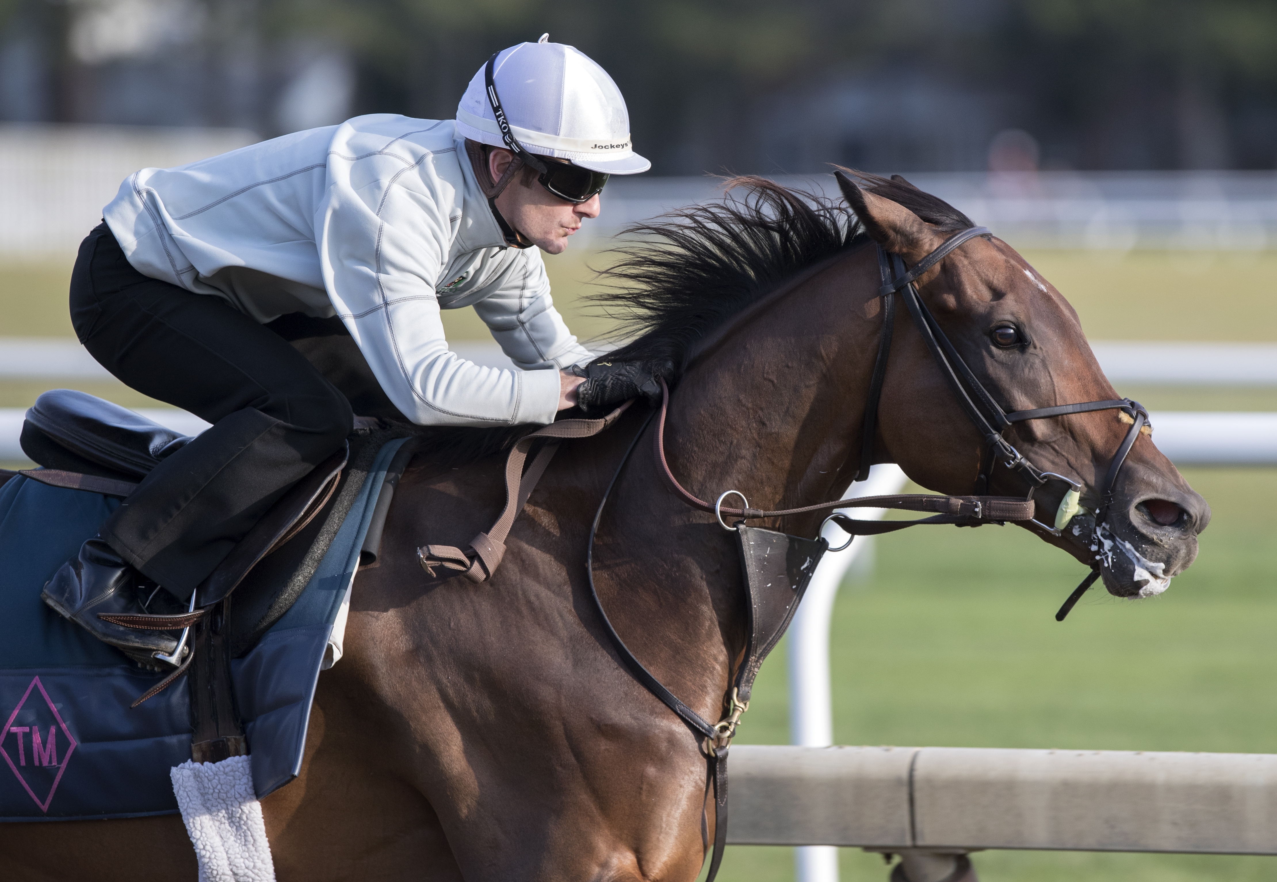 Cooptado training at Saratoga on 8.25.17