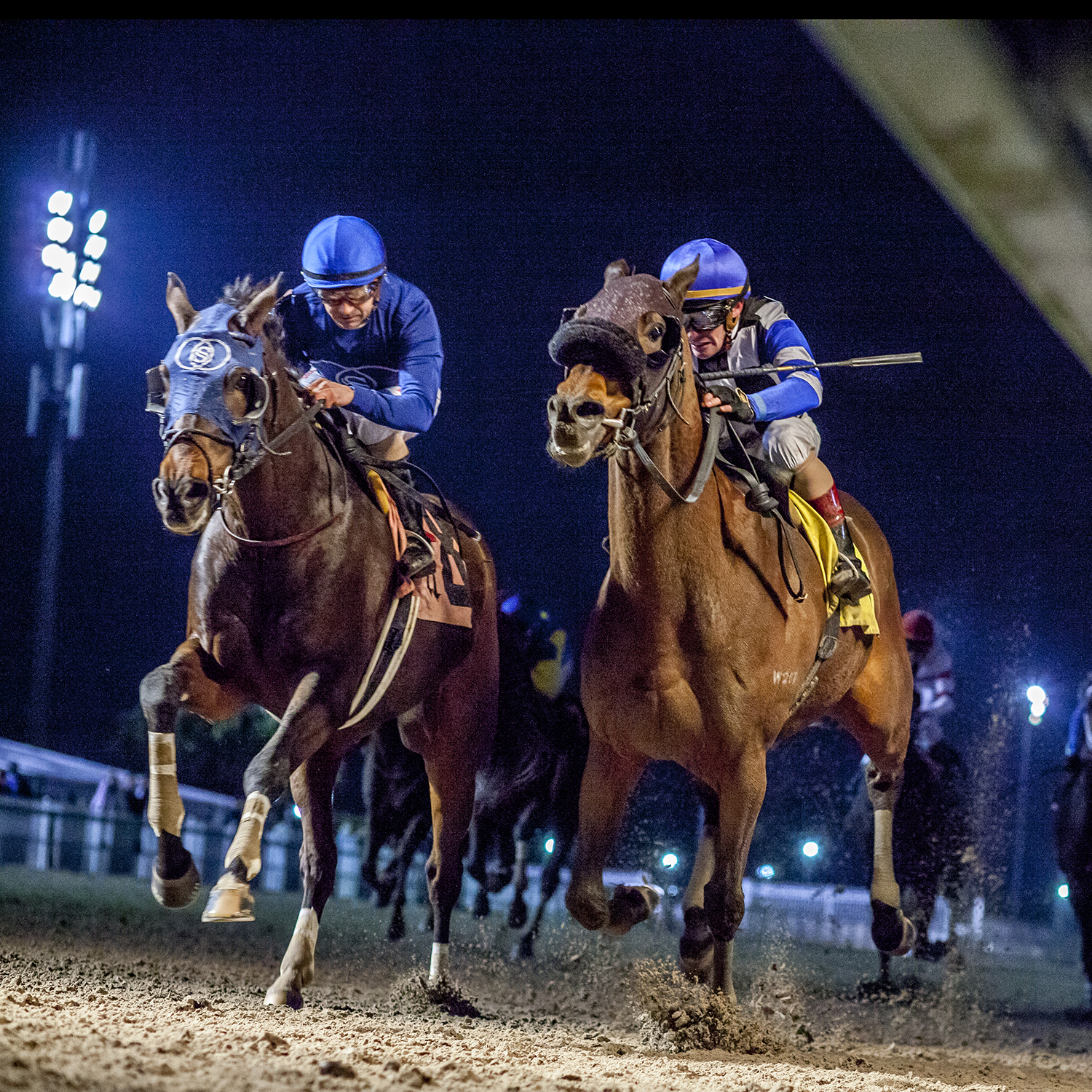Cooptado (inside) wins the 2017 Tenacious Stakes