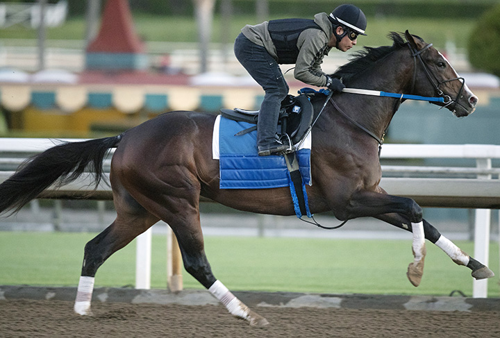 Copper Bullet trains at Santa Anita Park on Dec. 8