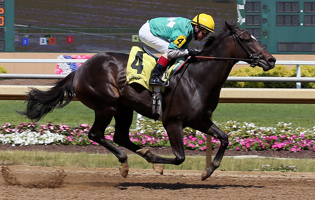 Copper Nickel wins a June 23 allowance at Indiana Grand