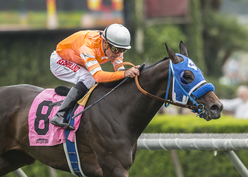 Cordiality wins the 2018 Fran-s Valentine Stakes
