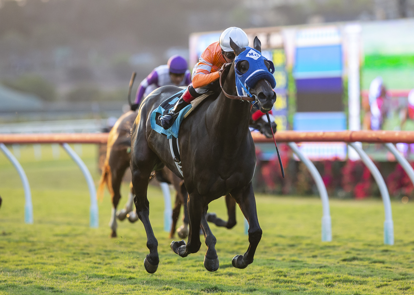 Cordiality wins the Solana Beach
