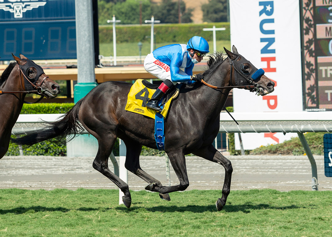 Cordiality wins the 2020 Swingtime Stakes at Santa Anita