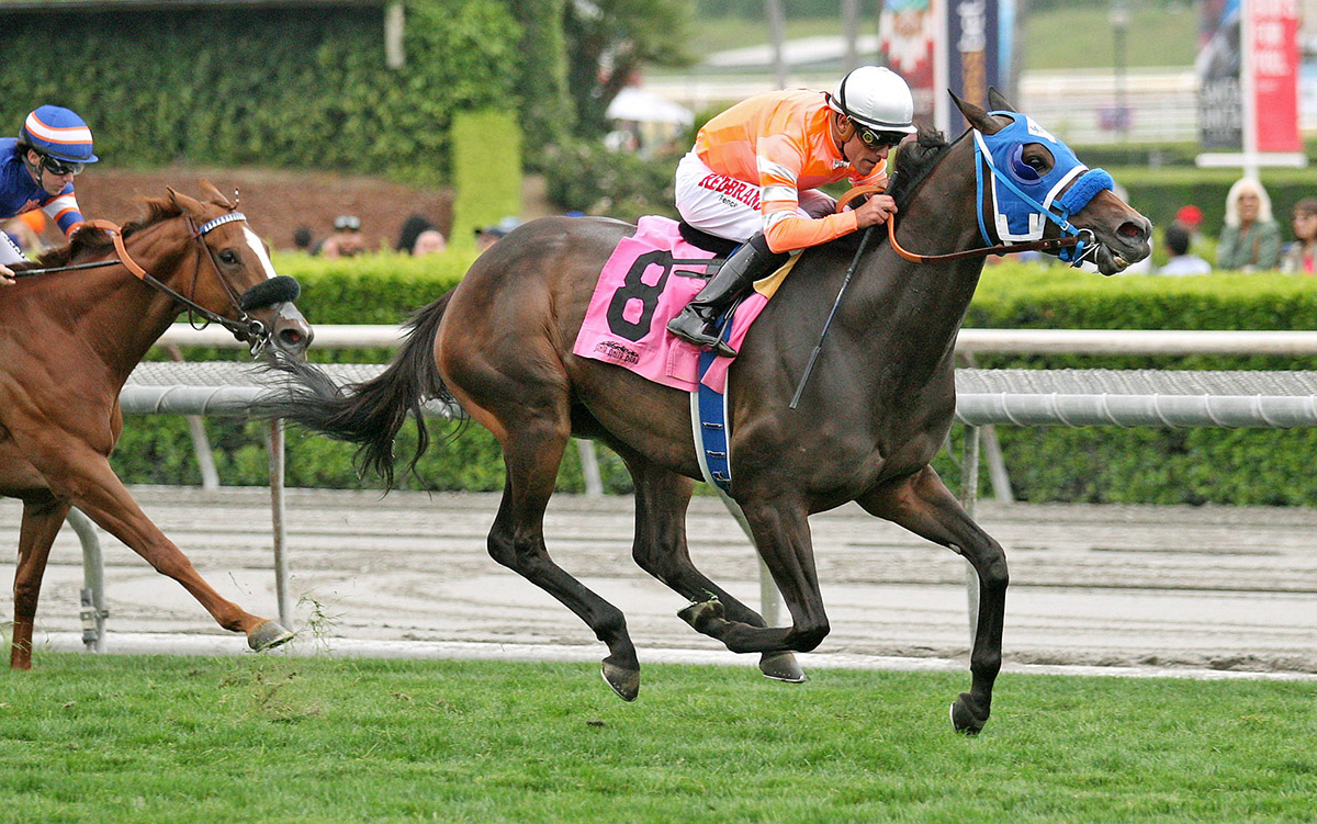 Cordiality wins the 2018 Fran-s Valentine