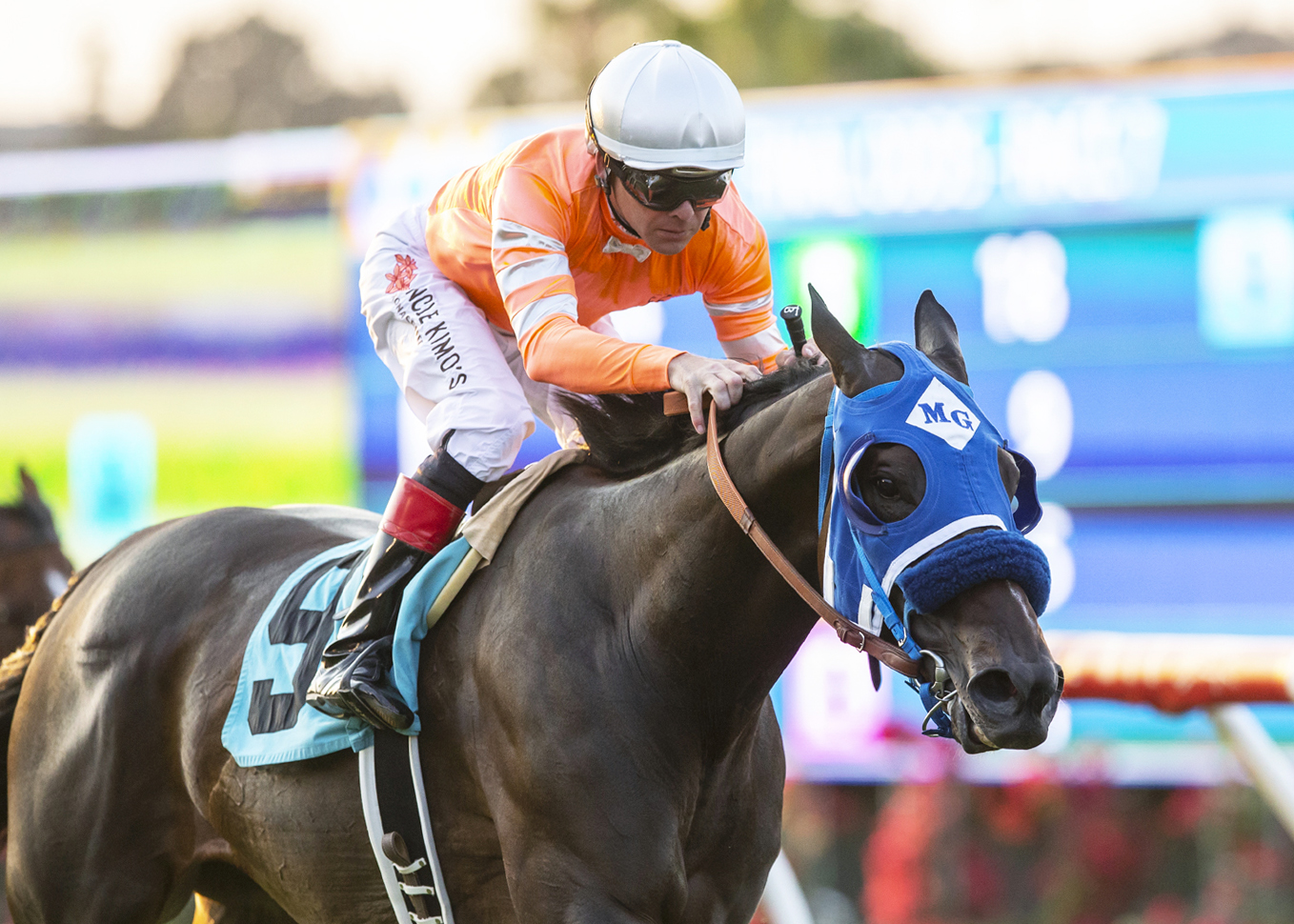 Cordiality wins the Solana Beach