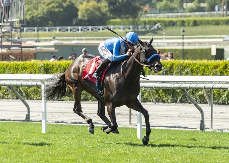Cordiality wins the 2019 Fran's Valentine Stakes